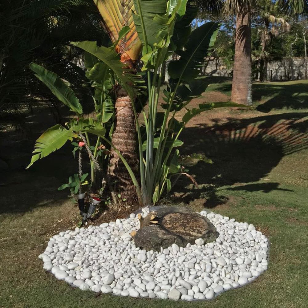 slide 4 of 6, Beach Pebble Company 0.4 Cubic feet 30-lb White Pebbles ( 0.5 - 3.0-in Rock Size ), 1 ct