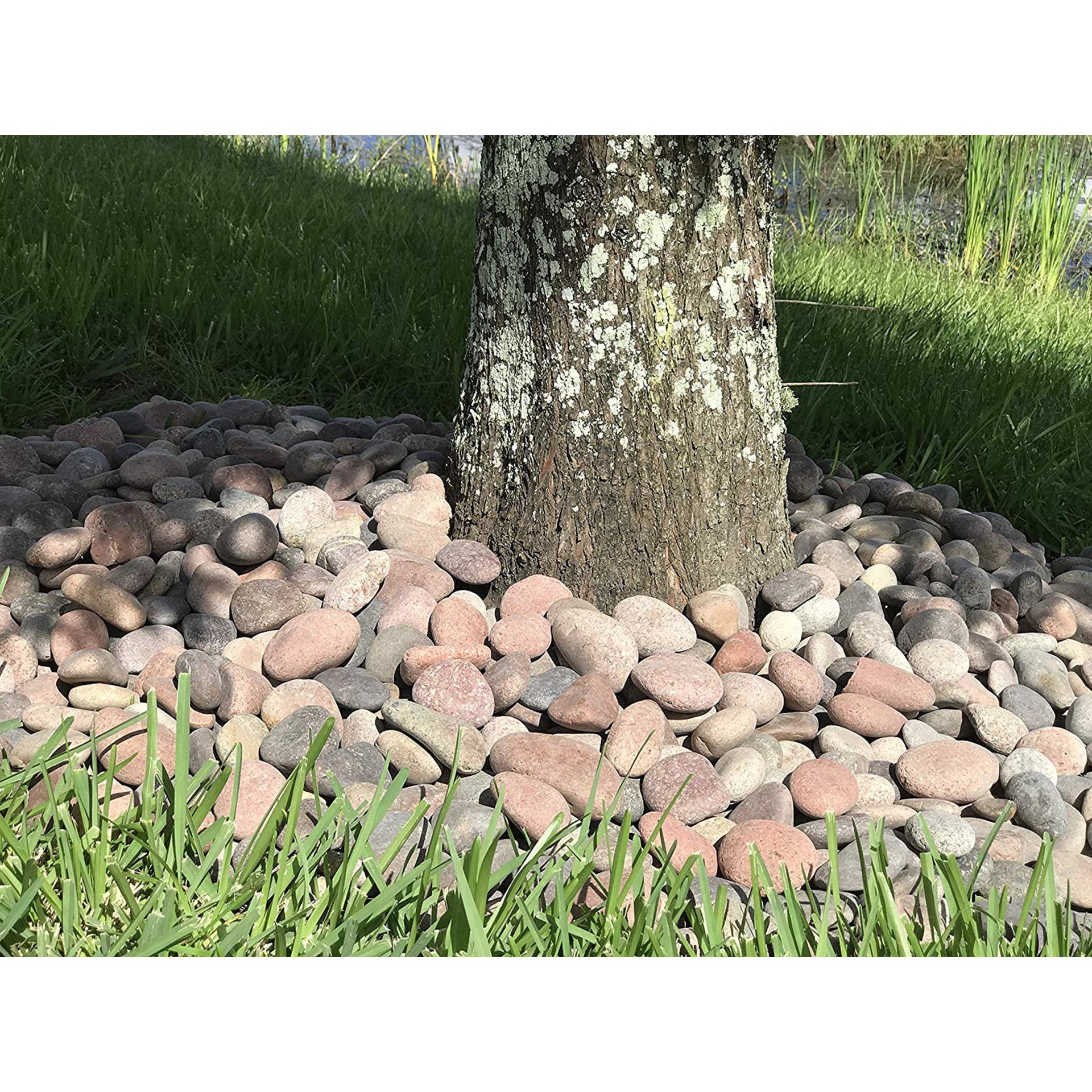 slide 5 of 6, Beach Pebble Company 0.4 Cubic feet 30-lb Red Mexican beach pebbles ( 0.5 - 3.0-in Rock Size ), 1 ct