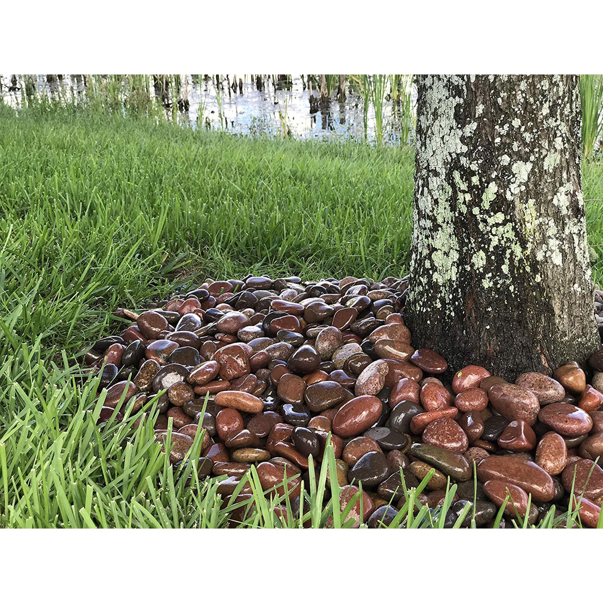 slide 6 of 6, Beach Pebble Company 0.4 Cubic feet 30-lb Red Mexican beach pebbles ( 0.5 - 3.0-in Rock Size ), 1 ct