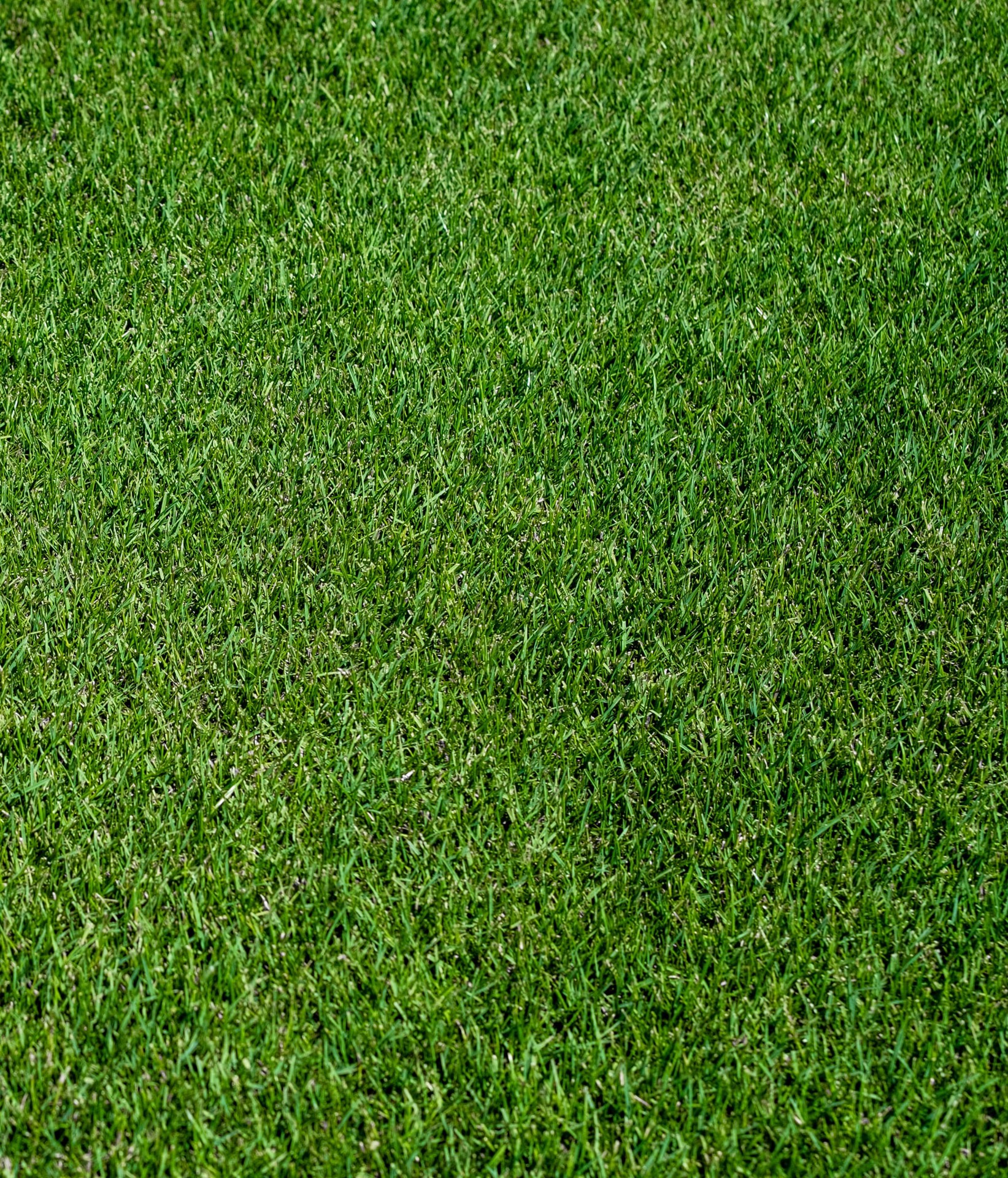 slide 4 of 6, JB Instant Lawn JB Intelligent Lawn Repair 3.75-lbs. Natural Ryegrass Lawn Repair Mix, 1 ct