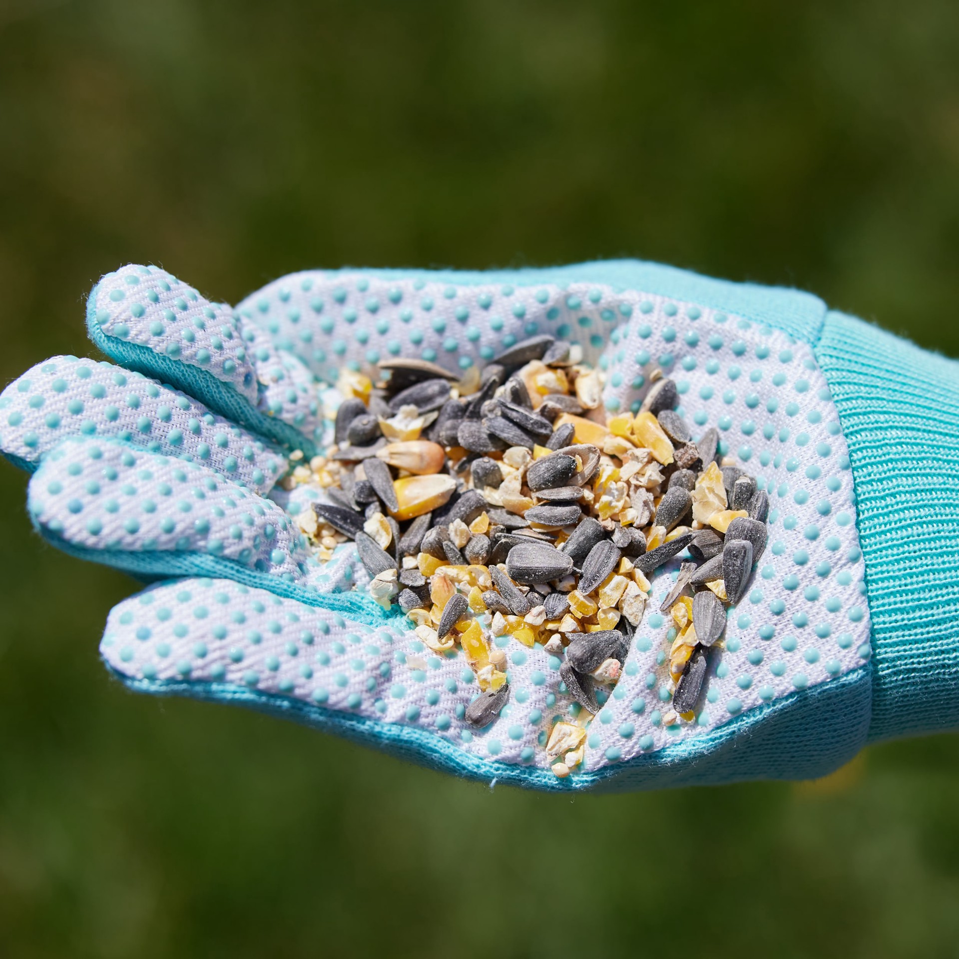 slide 2 of 6, Hello Birds Welcome Blend Wild Bird Seed 8-lb, 1 ct