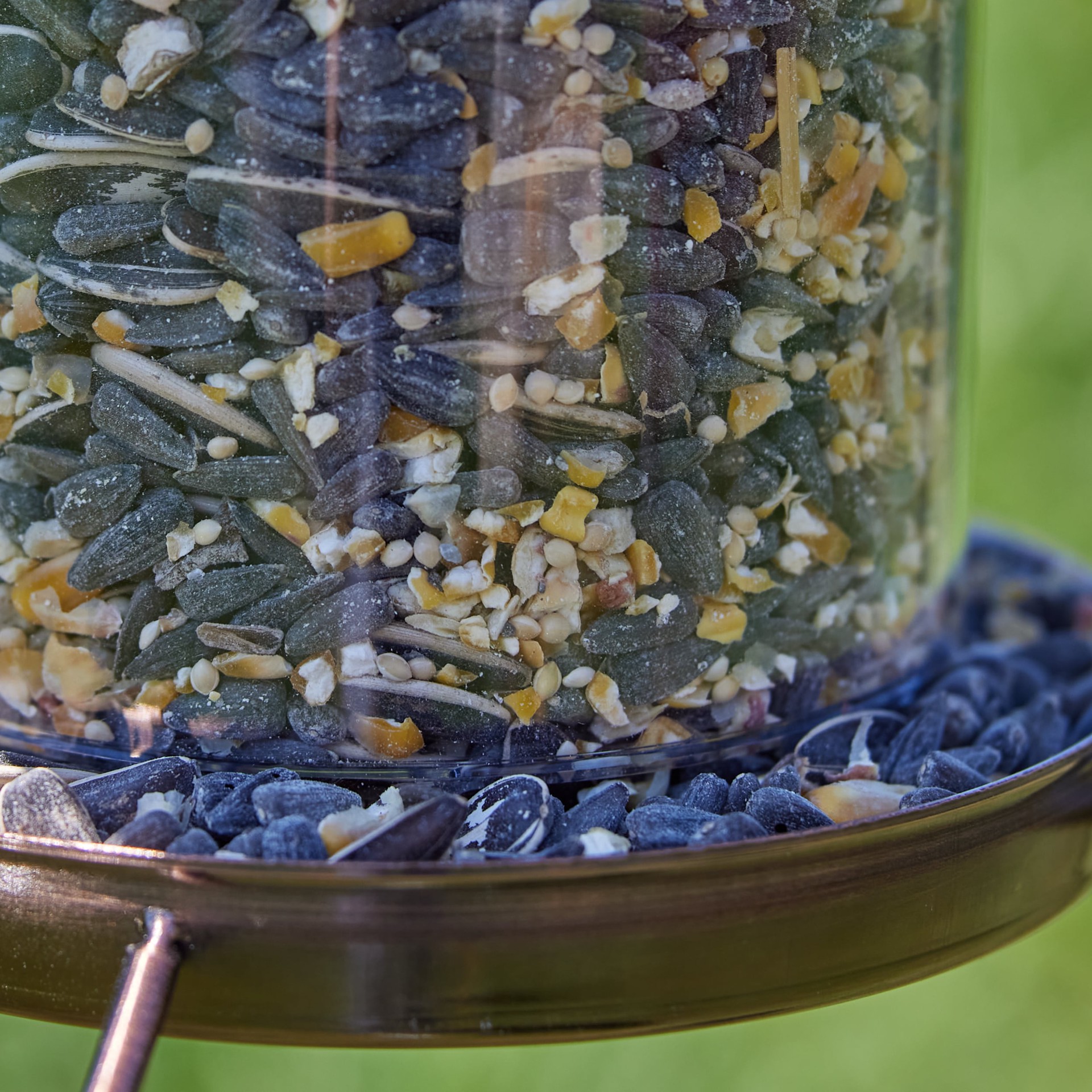 slide 3 of 6, Hello Birds Welcome Blend Wild Bird Seed 8-lb, 1 ct