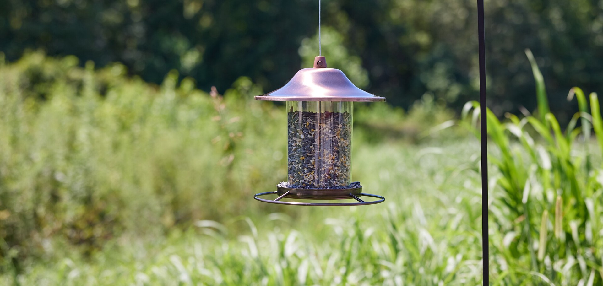 slide 4 of 6, Hello Birds Welcome Blend Wild Bird Seed 8-lb, 1 ct