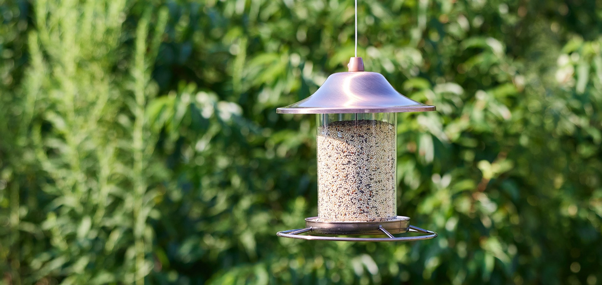 slide 3 of 6, Hello Birds Finch Wild Bird Seed Blend 8-lb, 1 ct