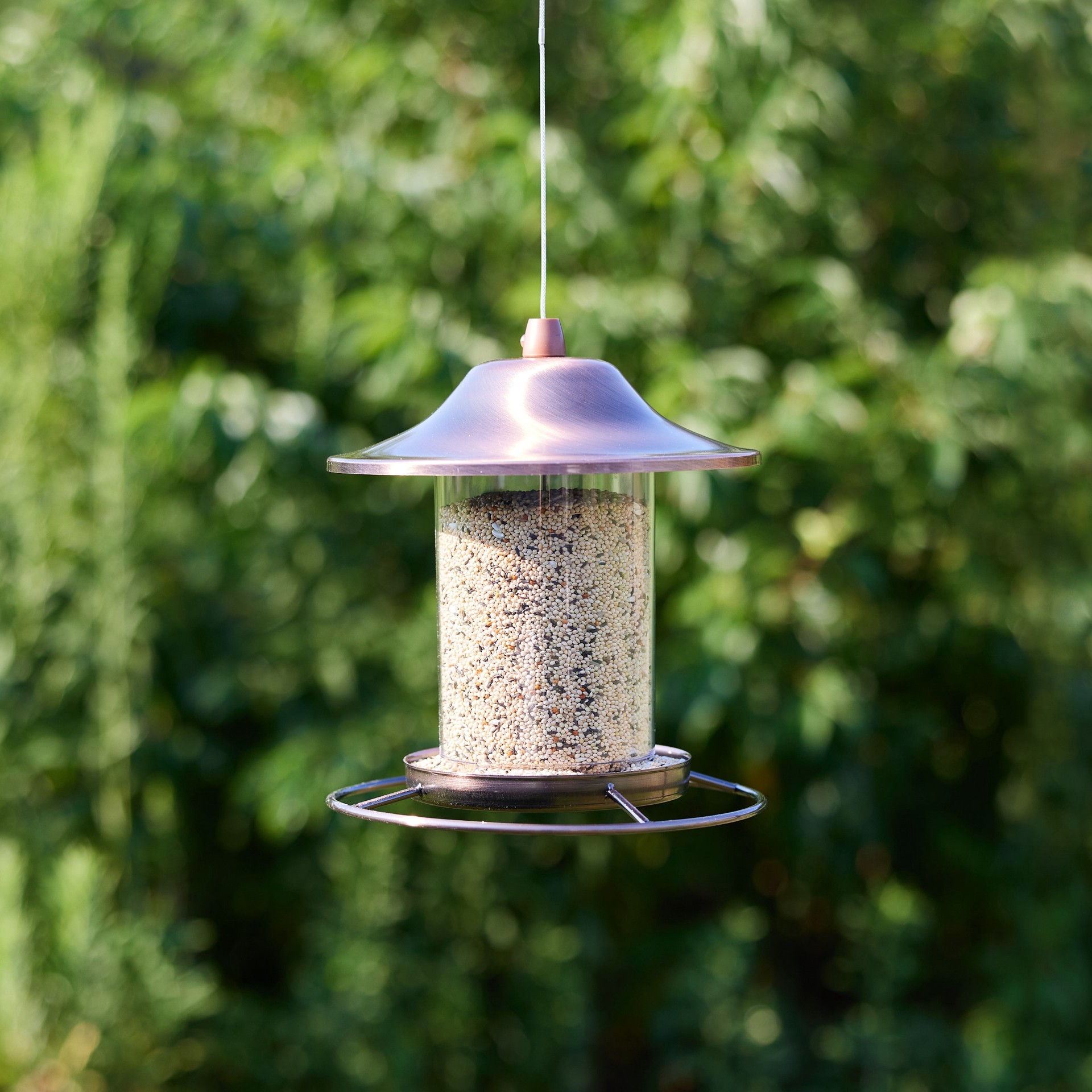 slide 4 of 6, Hello Birds Finch Wild Bird Seed Blend 8-lb, 1 ct