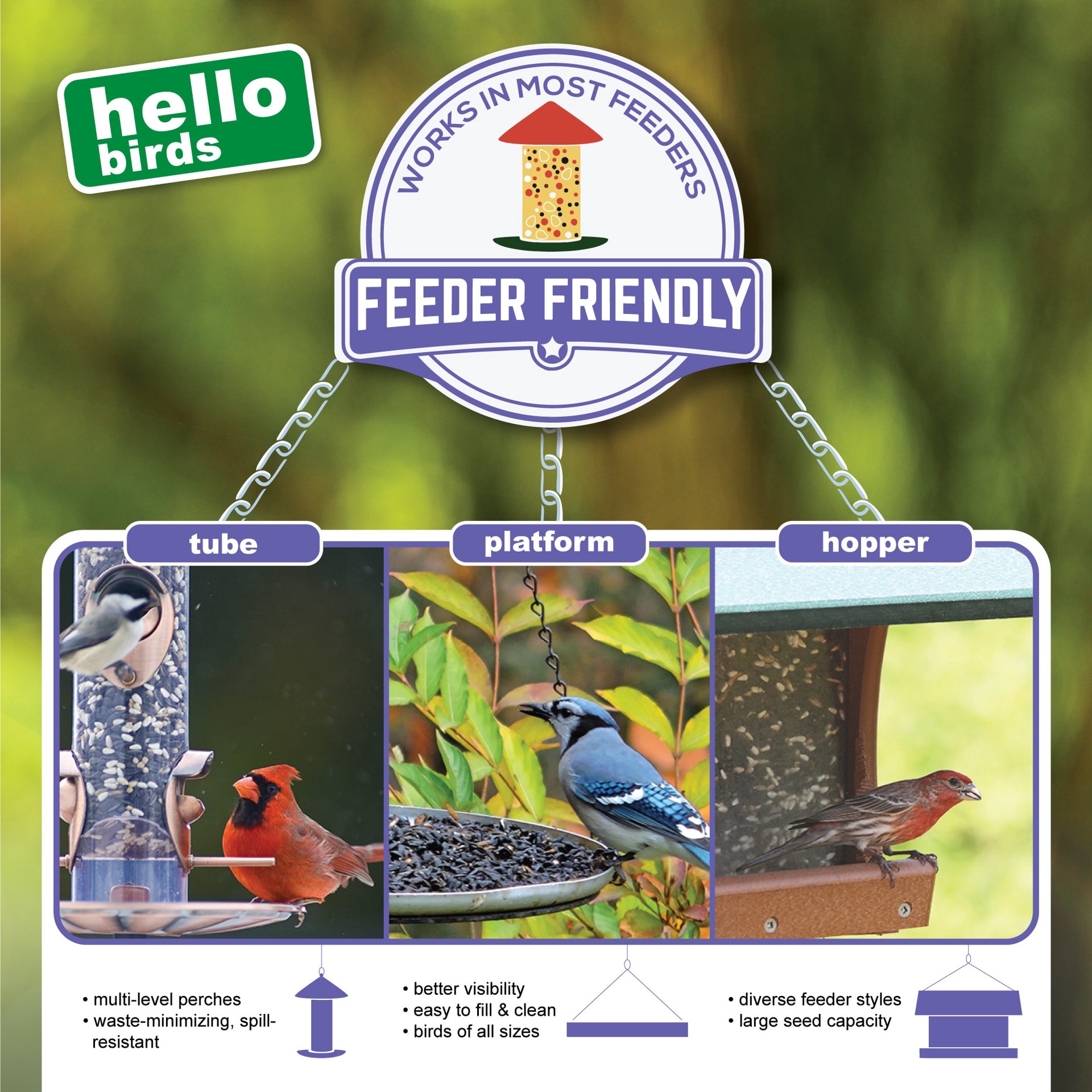 slide 3 of 6, Hello Birds Wild Bird Seed Blend 10-lb, 1 ct