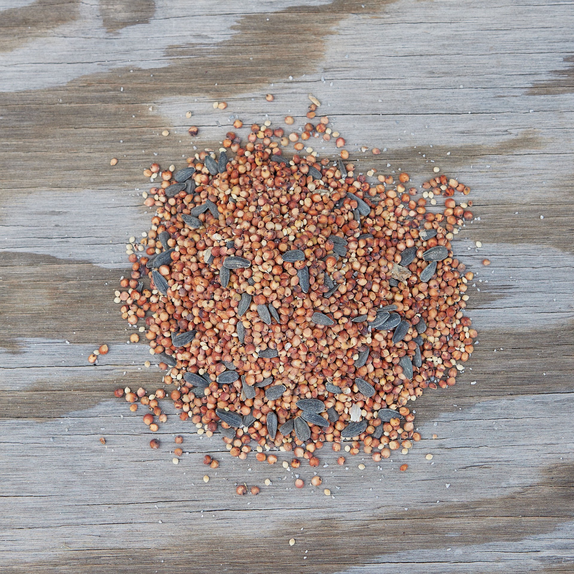 slide 2 of 6, Hello Birds Wild Bird Seed (blend) Bird seed 20 Pound(s), 1 ct