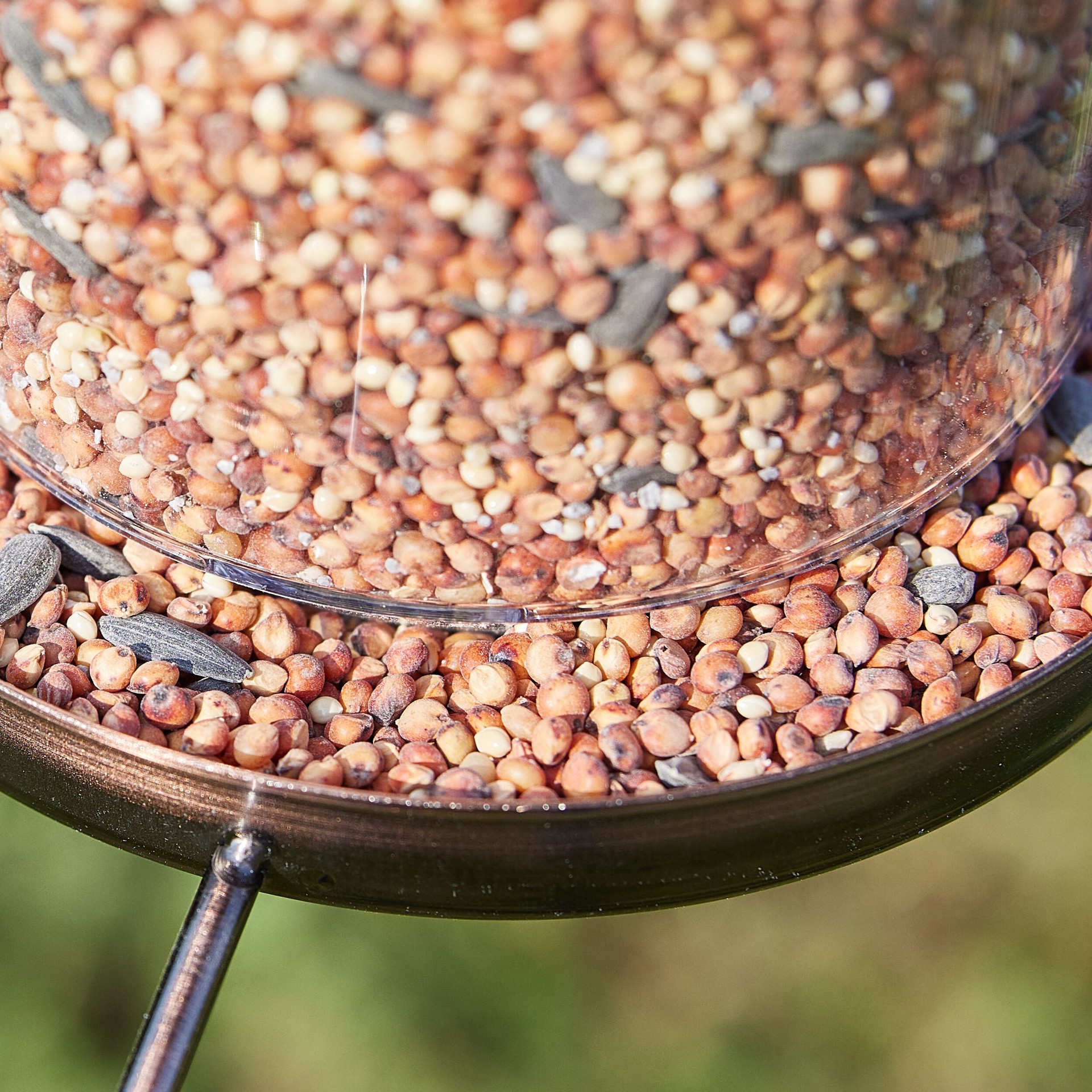 slide 3 of 6, Hello Birds Wild Bird Seed (blend) Bird seed 20 Pound(s), 1 ct