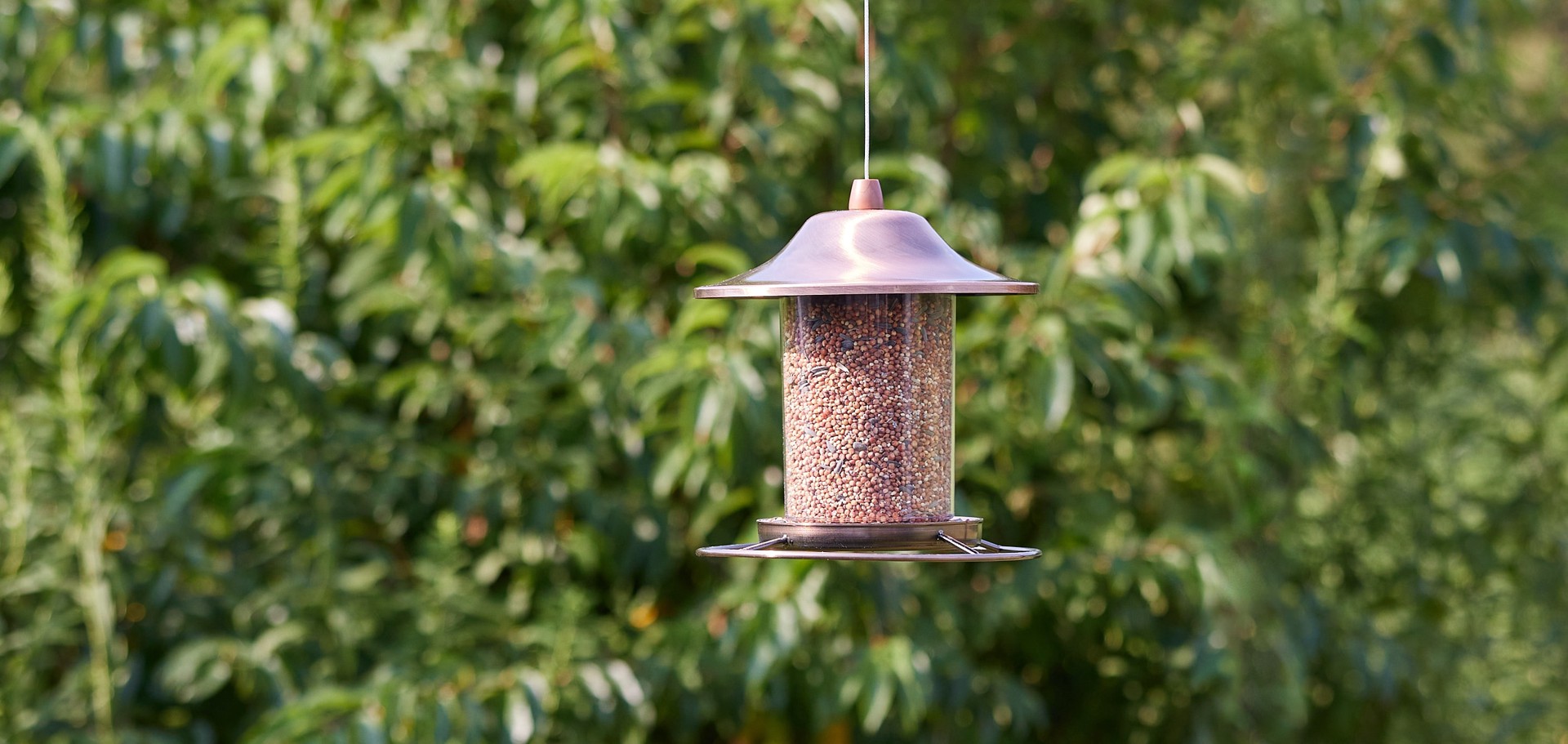 slide 4 of 6, Hello Birds Wild Bird Seed (blend) Bird seed 20 Pound(s), 1 ct