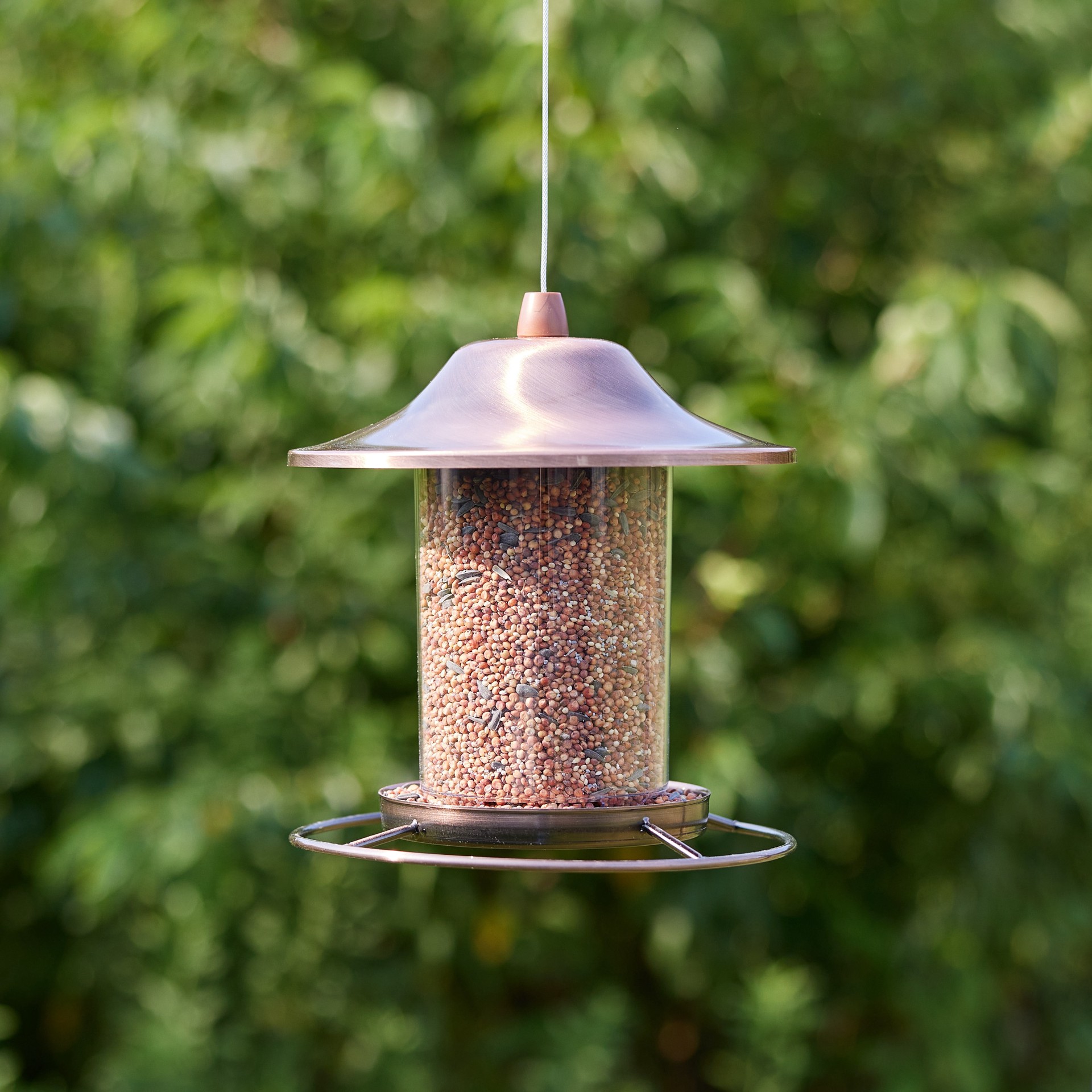 slide 5 of 6, Hello Birds Wild Bird Seed (blend) Bird seed 20 Pound(s), 1 ct