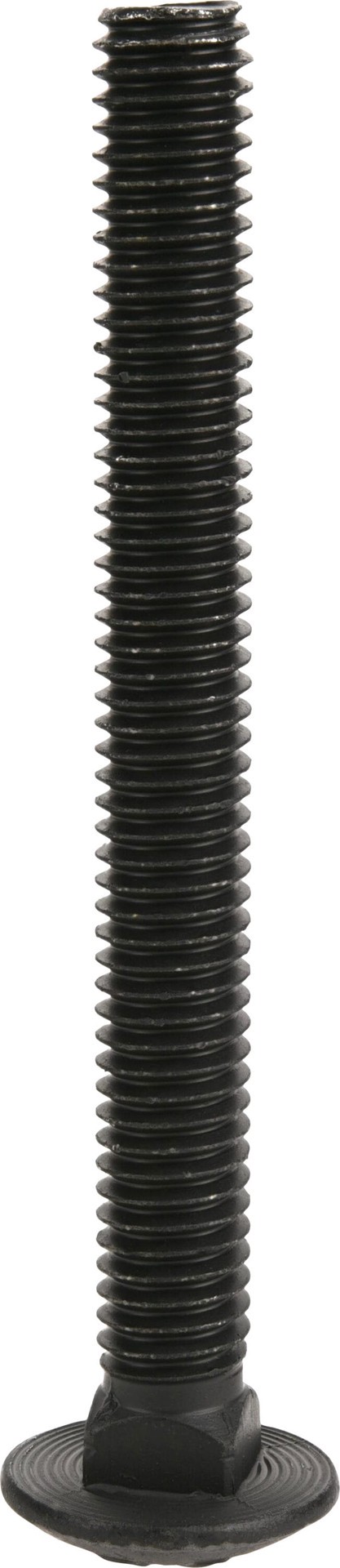 slide 4 of 6, Deck Plus 3/8-in x 3-1/2-in Coated Coarse Thread Exterior Carriage Bolt, 1 ct