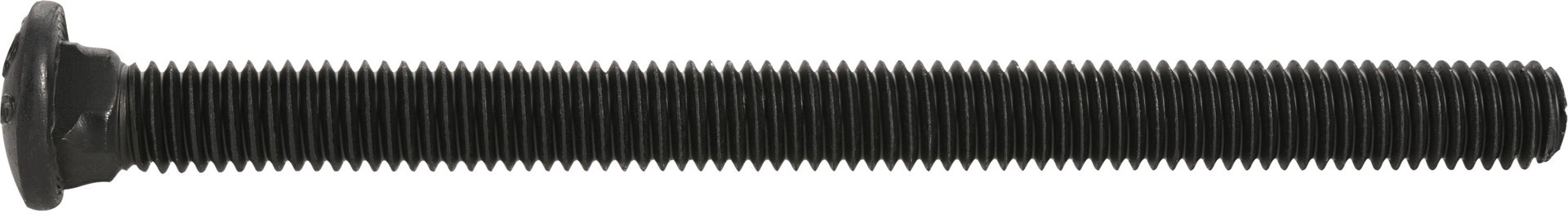 slide 5 of 6, Deck Plus 3/8-in x 5-in Coated Coarse Thread Exterior Carriage Bolt, 1 ct