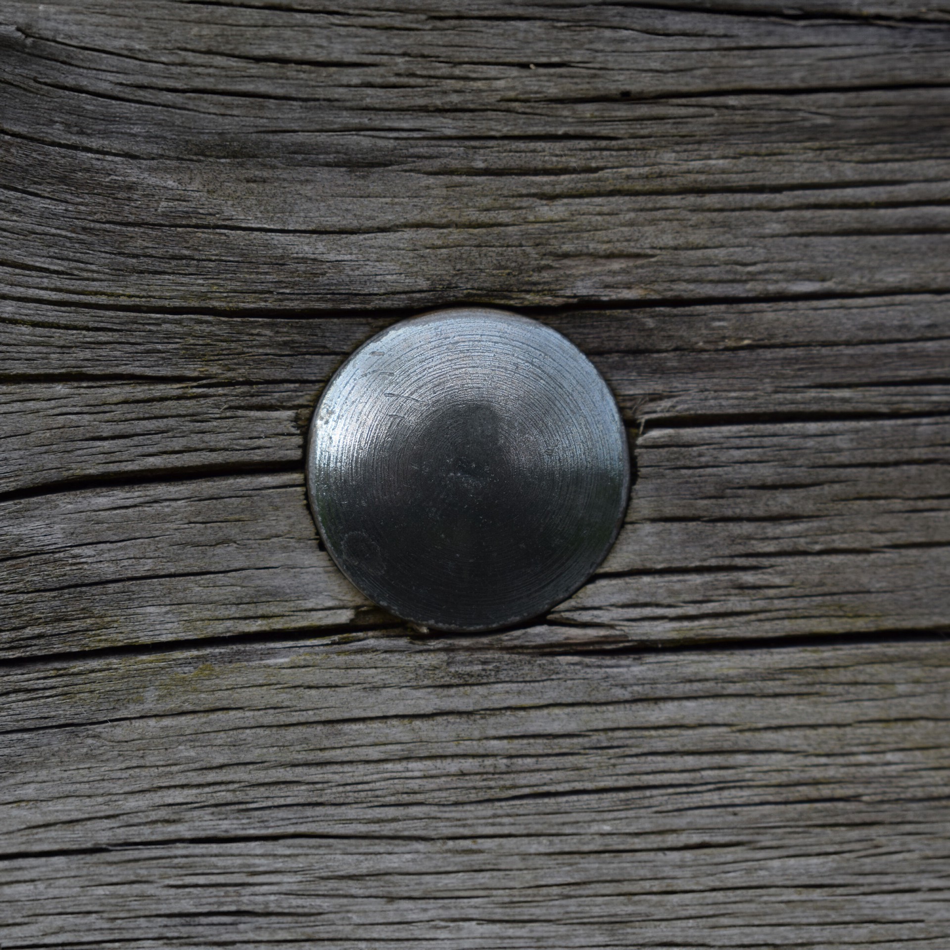 slide 6 of 6, Deck Plus 1/2-in x 12-in Coated Coarse Thread Exterior Carriage Bolt, 1 ct