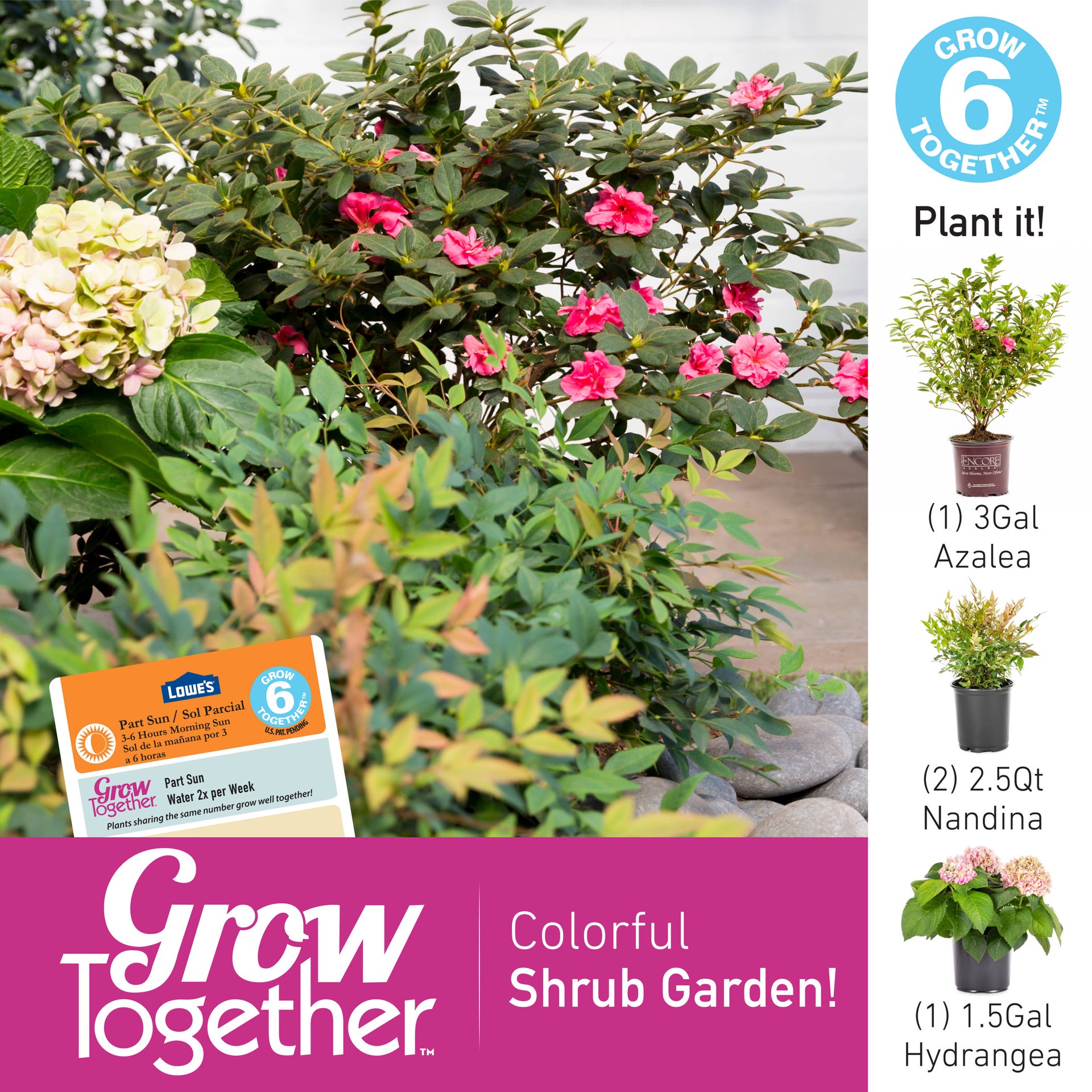 slide 4 of 6, Encore Azalea Multicolor Azalea Flowering Shrub in 3-Gallon (s) Pot, 1 ct