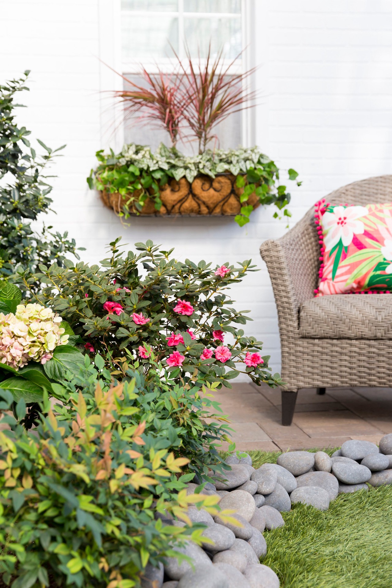 slide 3 of 6, Encore Azalea Multicolor Azalea Flowering Shrub in 3-Gallon (s) Pot, 1 ct