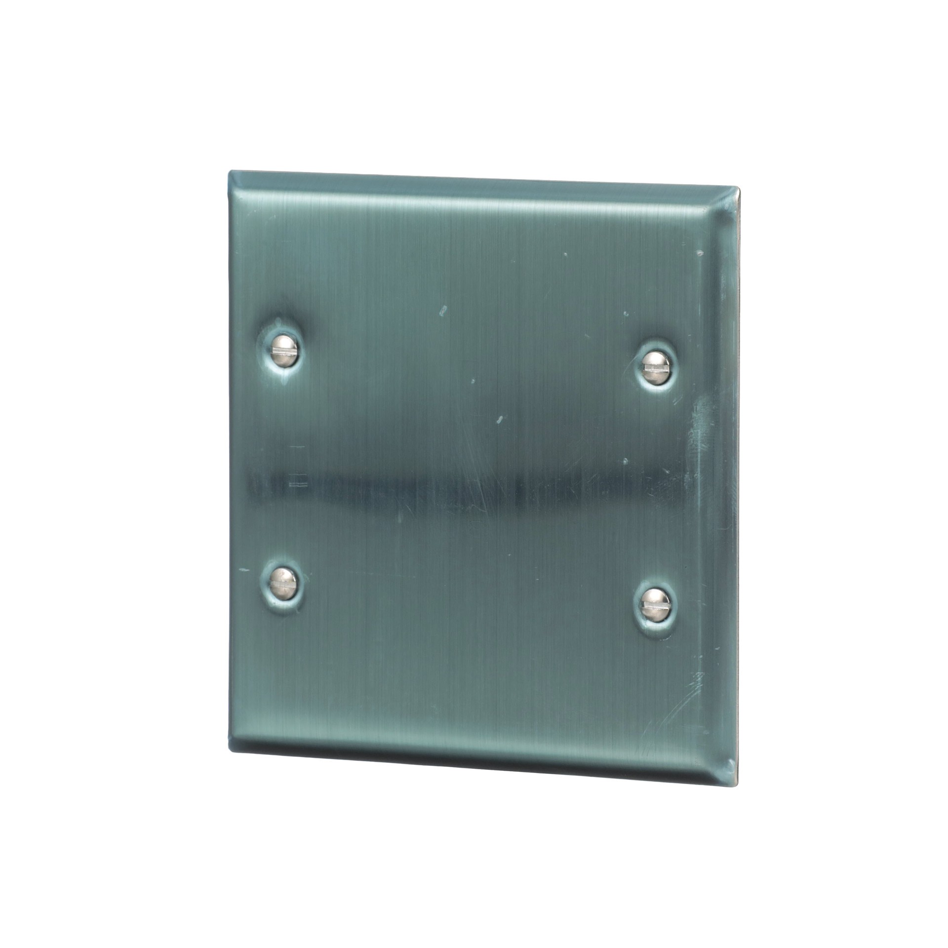 slide 2 of 6, Eaton 2 -Gang Standard Size Stainless steel Stainless steel Indoor Blank Wall Plate, 1 ct