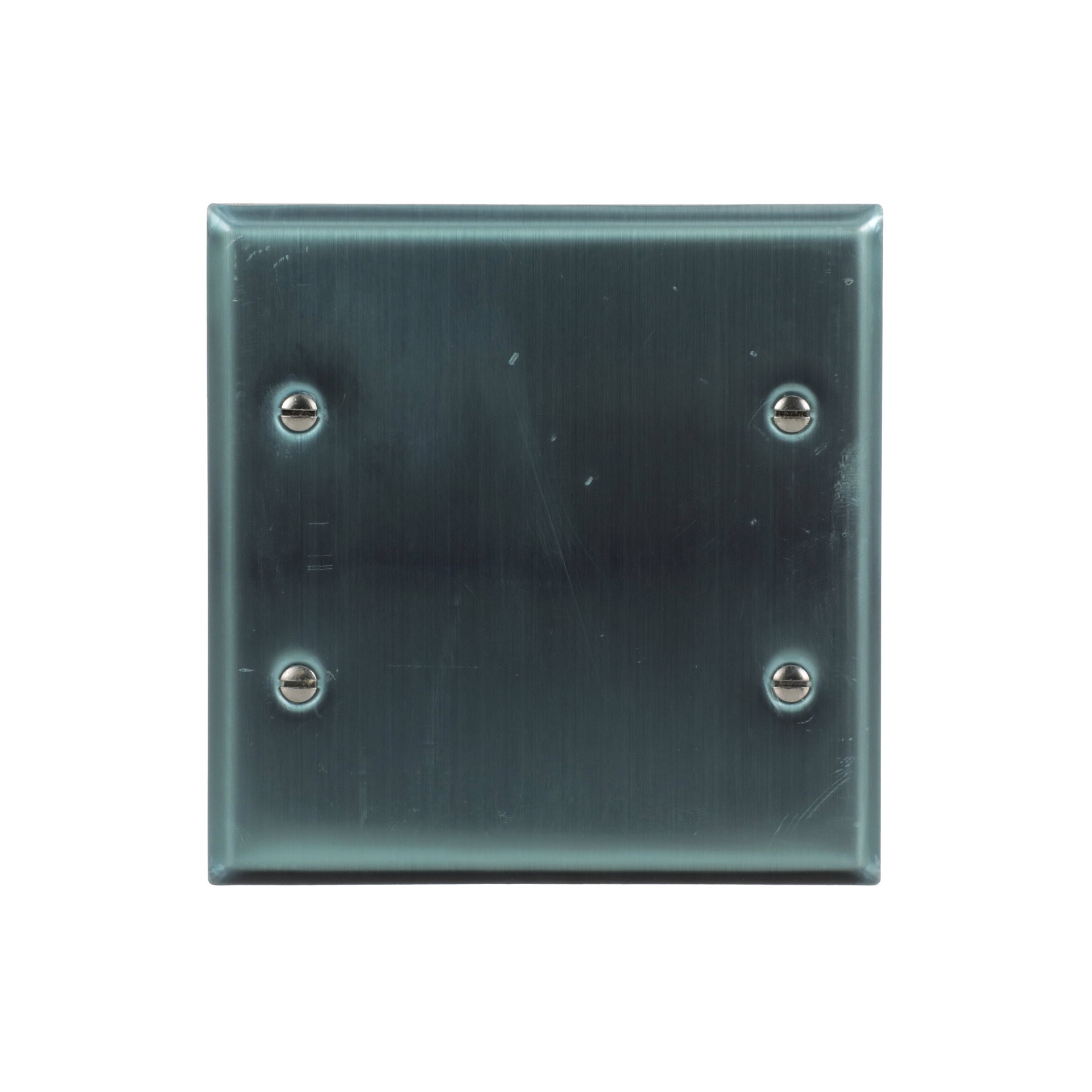 slide 1 of 6, Eaton 2 -Gang Standard Size Stainless steel Stainless steel Indoor Blank Wall Plate, 1 ct