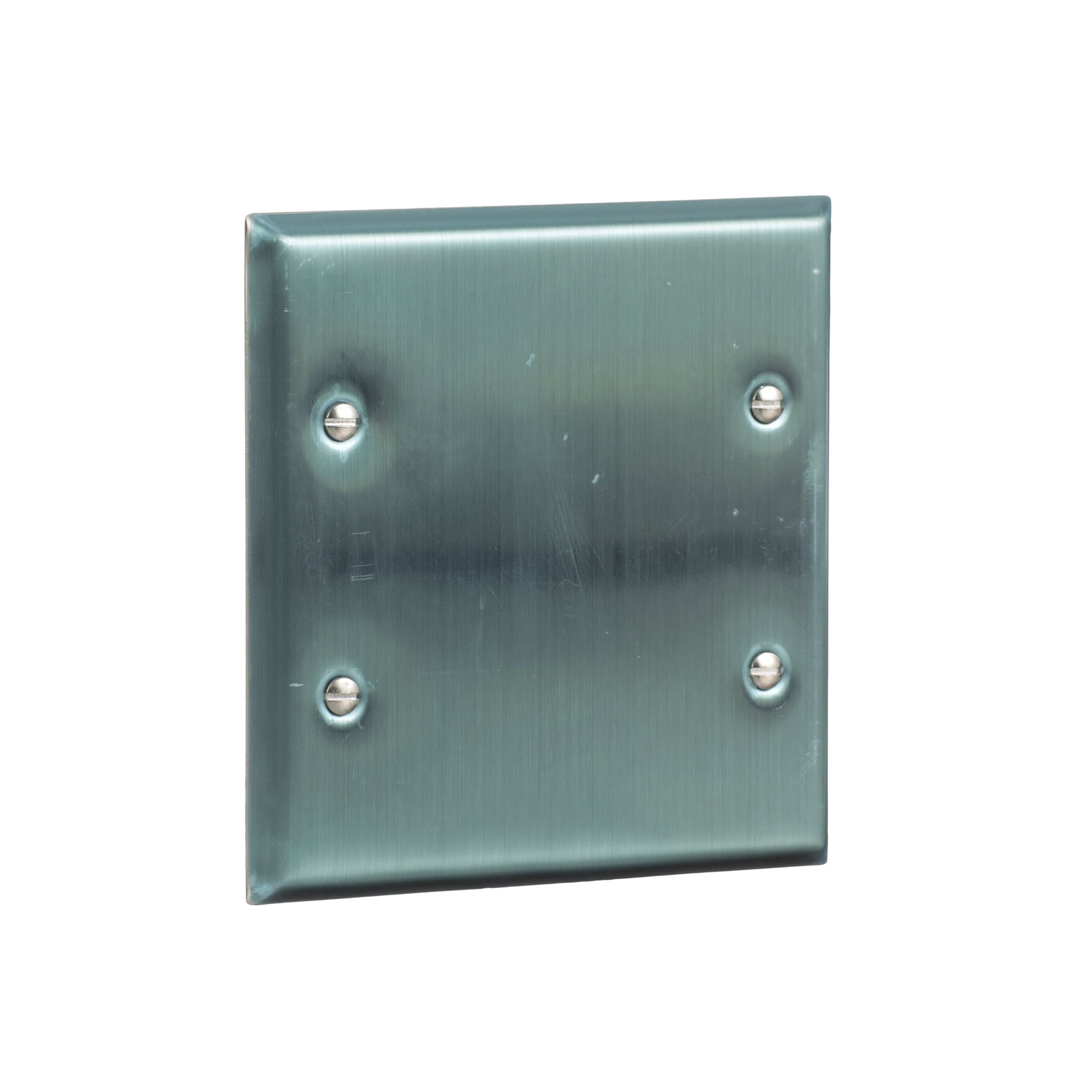 slide 6 of 6, Eaton 2 -Gang Standard Size Stainless steel Stainless steel Indoor Blank Wall Plate, 1 ct