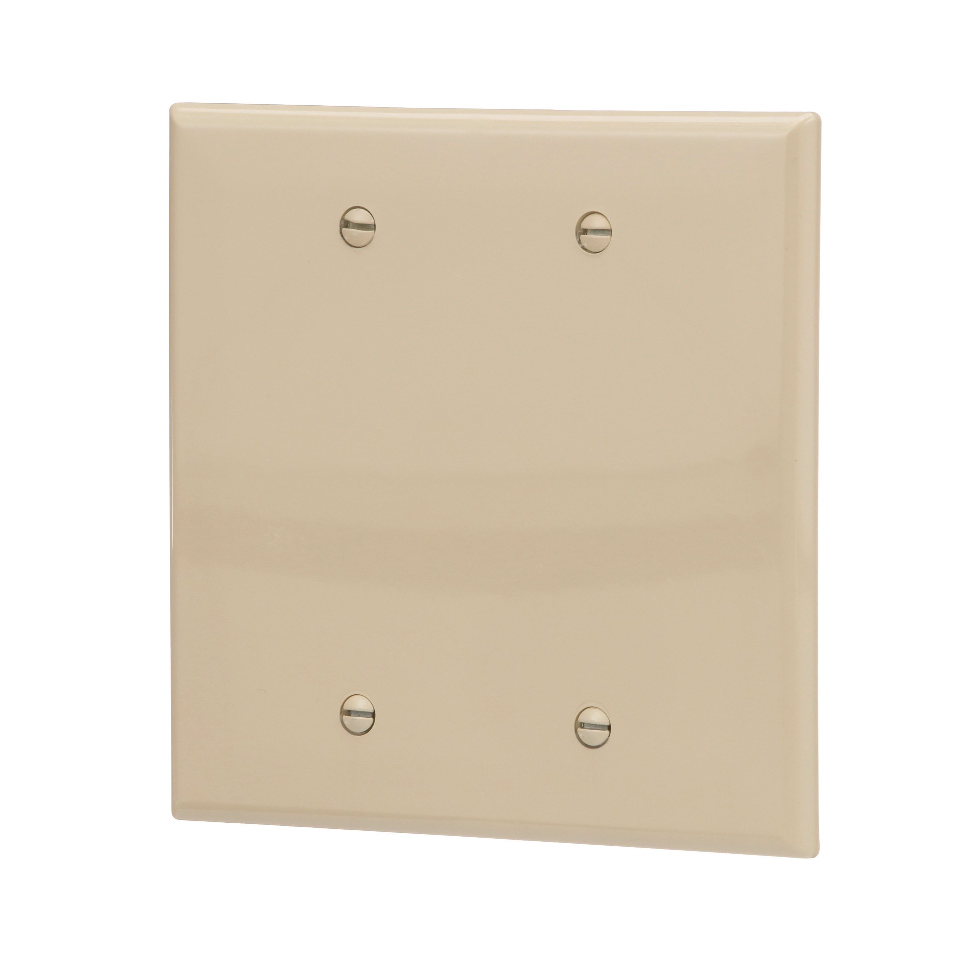 slide 2 of 6, Eaton 2 -Gang Midsize Size Ivory Polycarbonate Indoor Blank Wall Plate, 1 ct