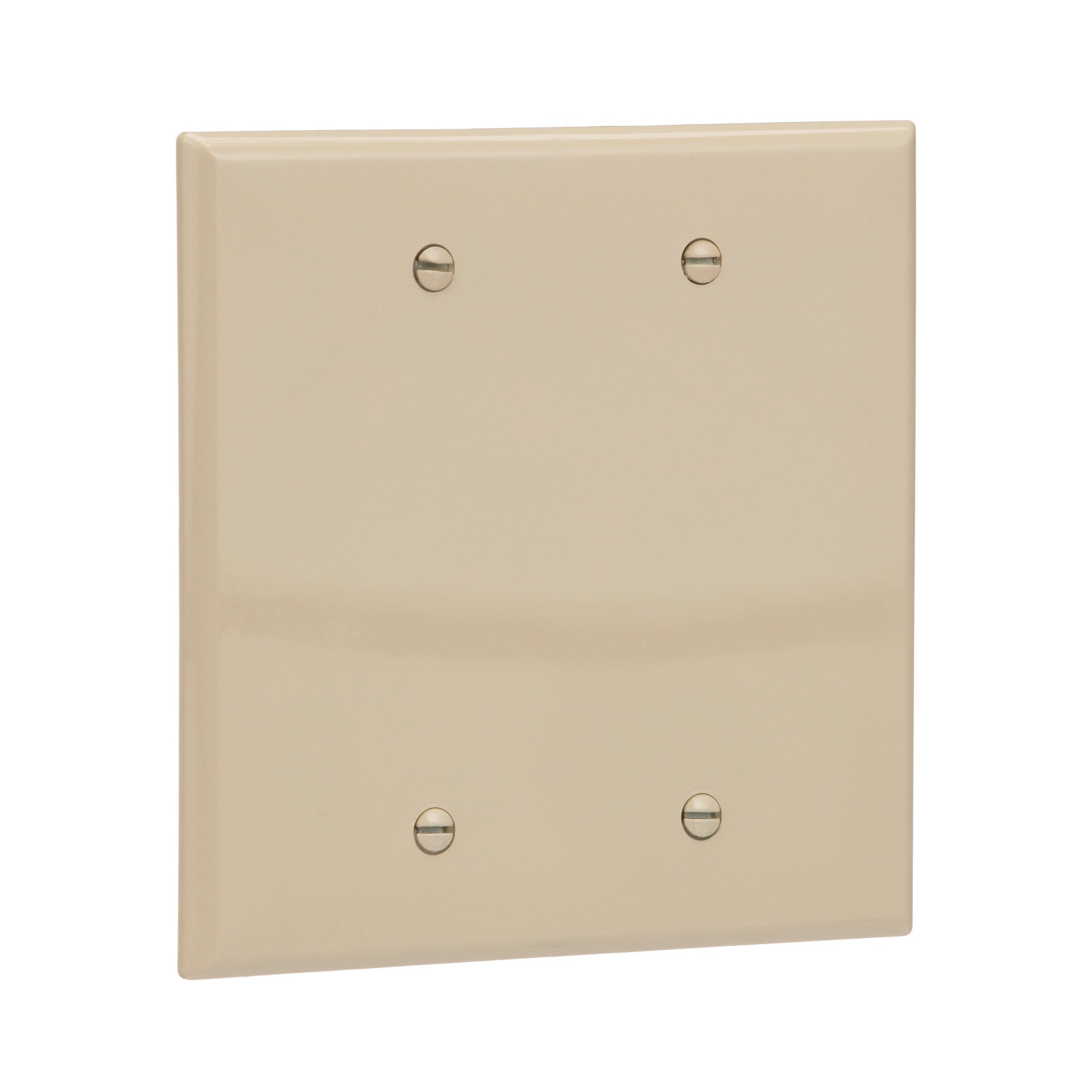 slide 6 of 6, Eaton 2 -Gang Midsize Size Ivory Polycarbonate Indoor Blank Wall Plate, 1 ct