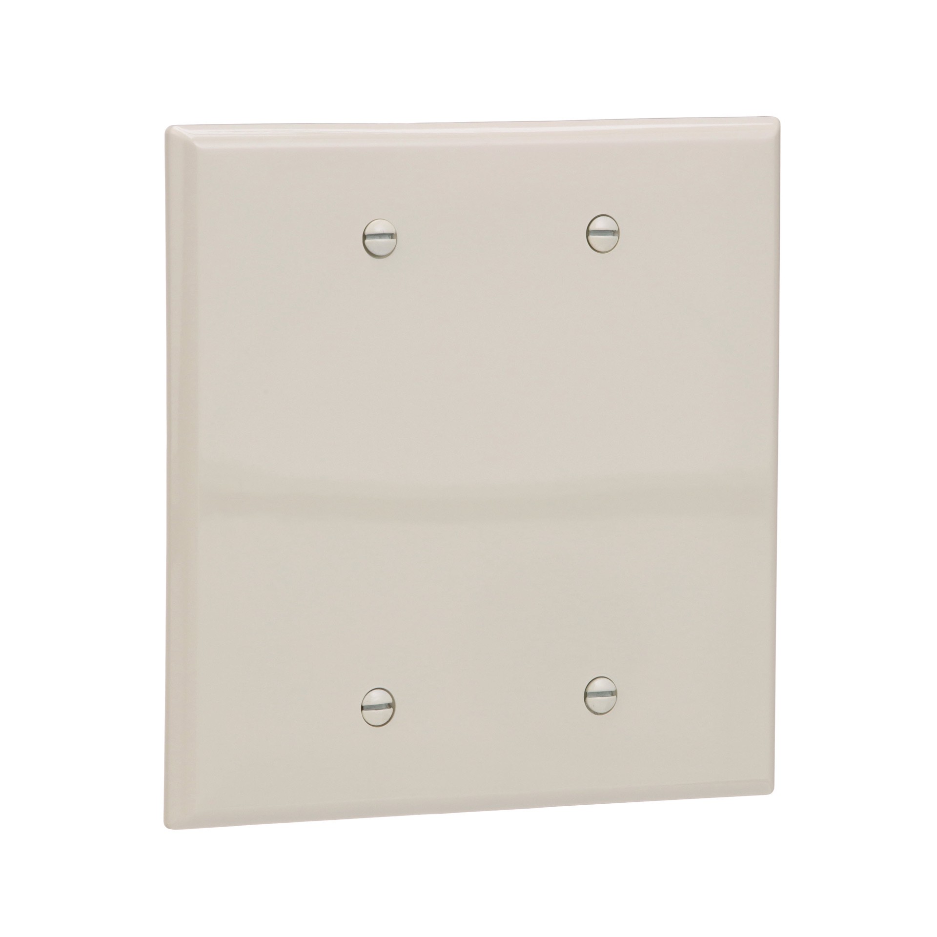 slide 6 of 6, Eaton 2 -Gang Midsize Size Light almond Polycarbonate Indoor Blank Wall Plate, 1 ct