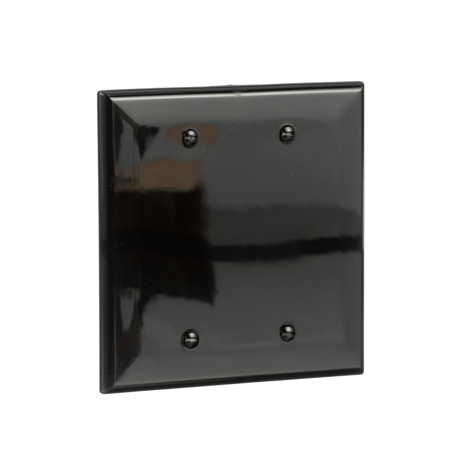 slide 6 of 6, Eaton 2 -Gang Midsize Size Black Polycarbonate Indoor Blank Wall Plate, 1 ct