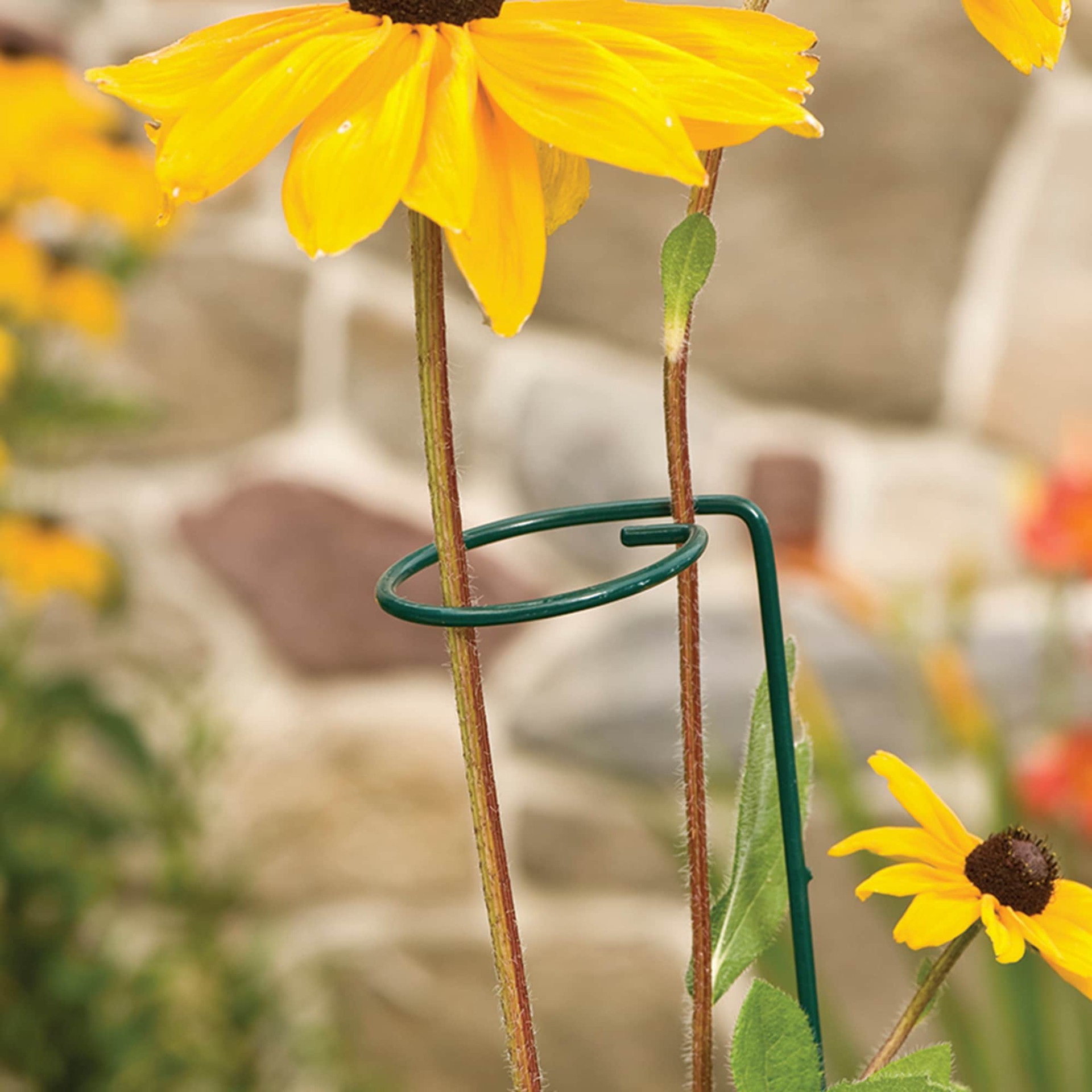 slide 2 of 6, 18-in Green Metal Plant prop, 1 ct