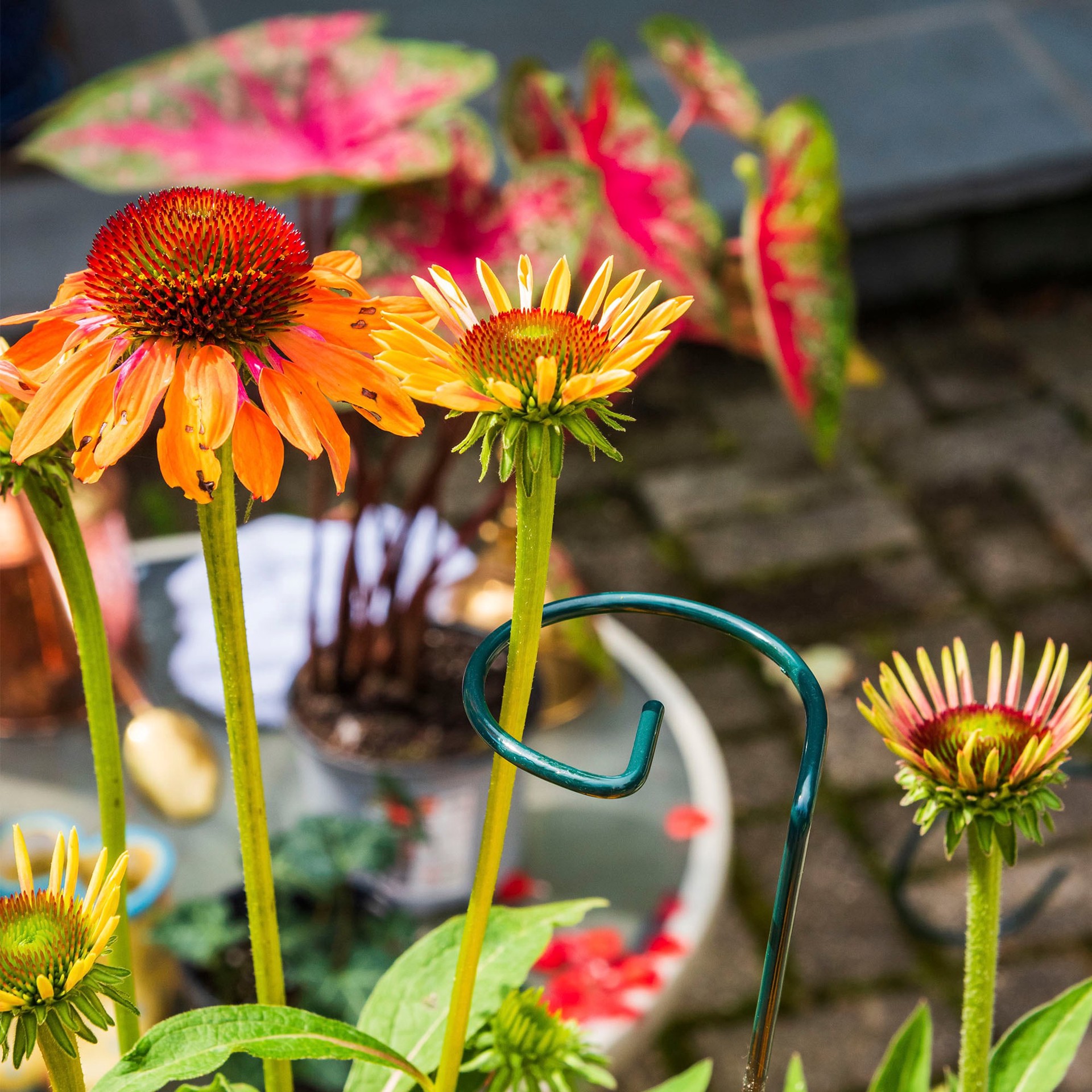 slide 3 of 6, 18-in Green Metal Plant prop, 1 ct