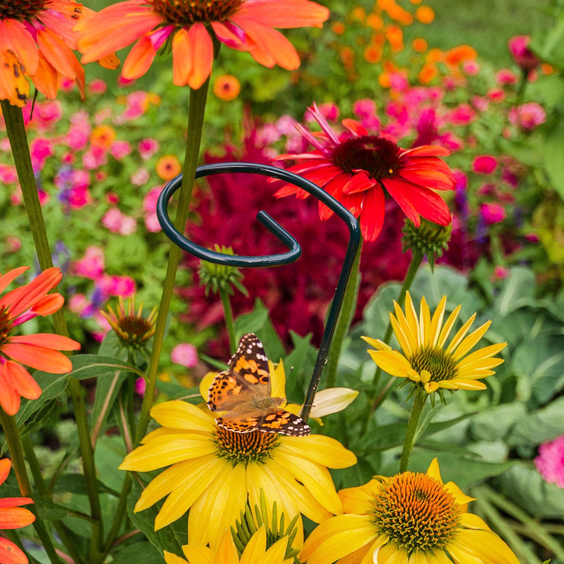 slide 6 of 6, 18-in Green Metal Plant prop, 1 ct