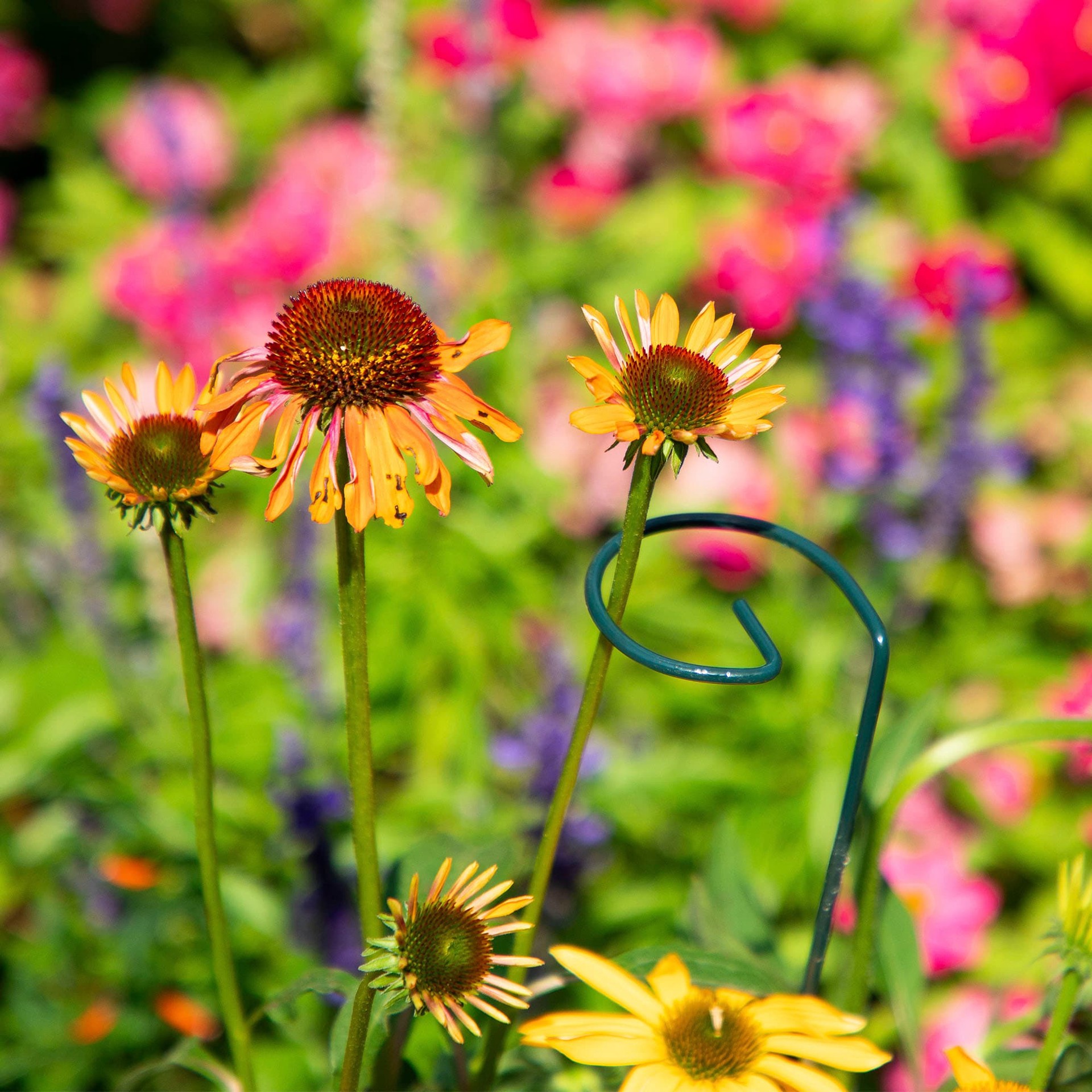 slide 5 of 6, 36-in Green Metal Plant prop, 1 ct