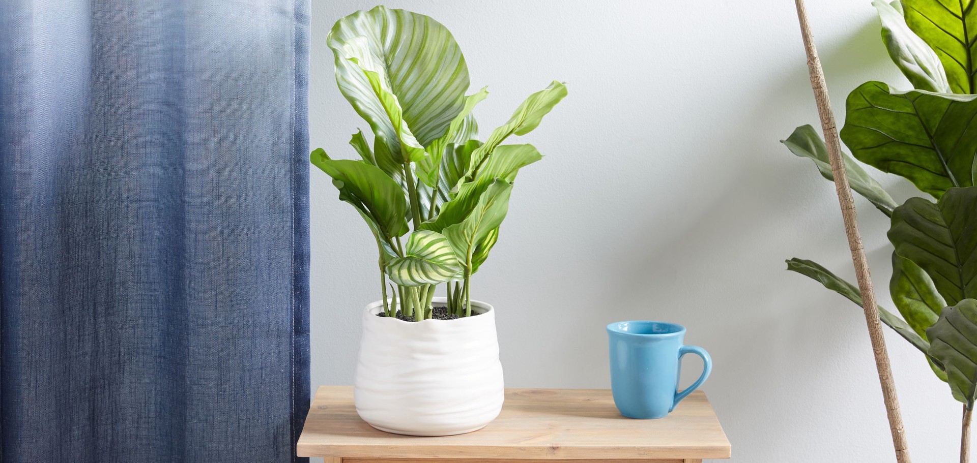 slide 4 of 6, allen + roth 19-in Green Indoor Desktop Calathea Artificial plant, 1 ct