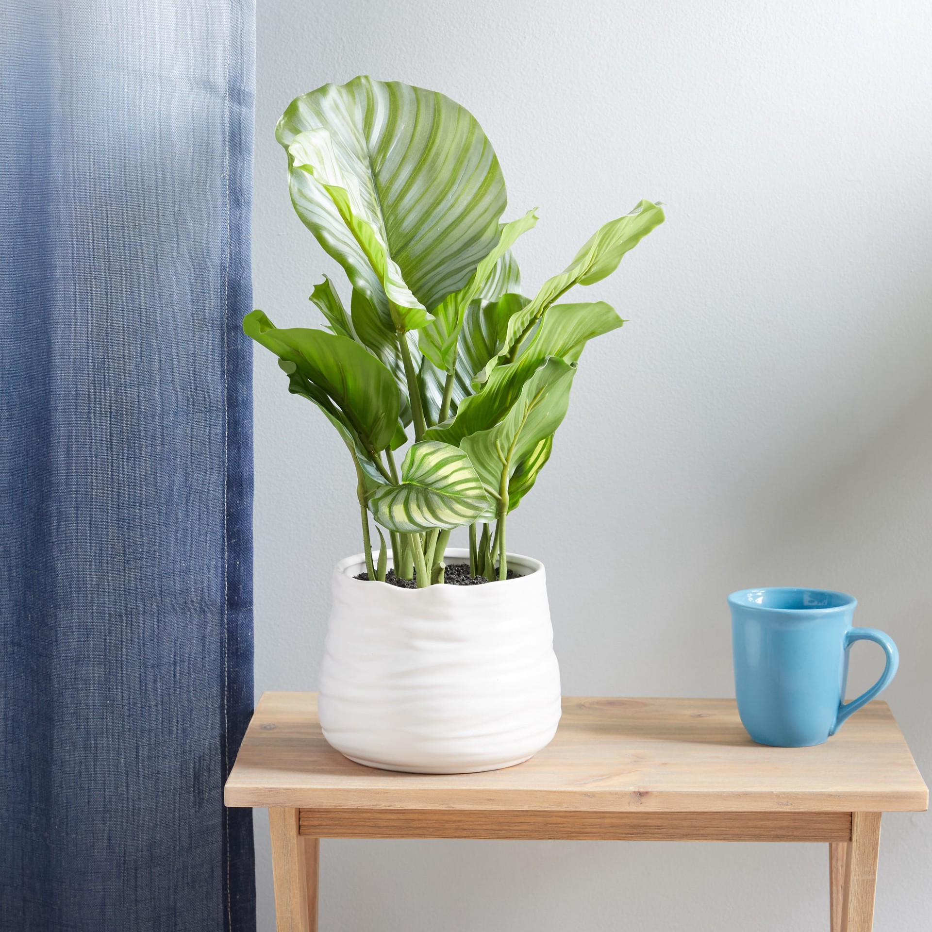 slide 5 of 6, allen + roth 19-in Green Indoor Desktop Calathea Artificial plant, 1 ct