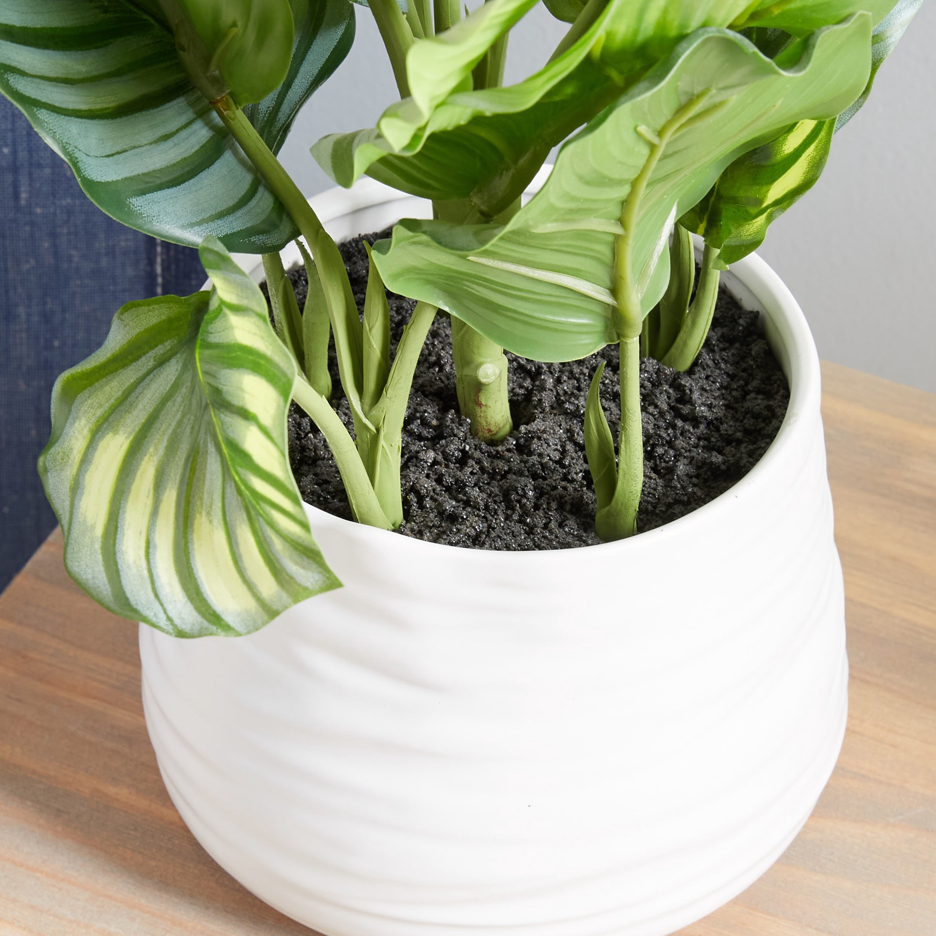 slide 6 of 6, allen + roth 19-in Green Indoor Desktop Calathea Artificial plant, 1 ct