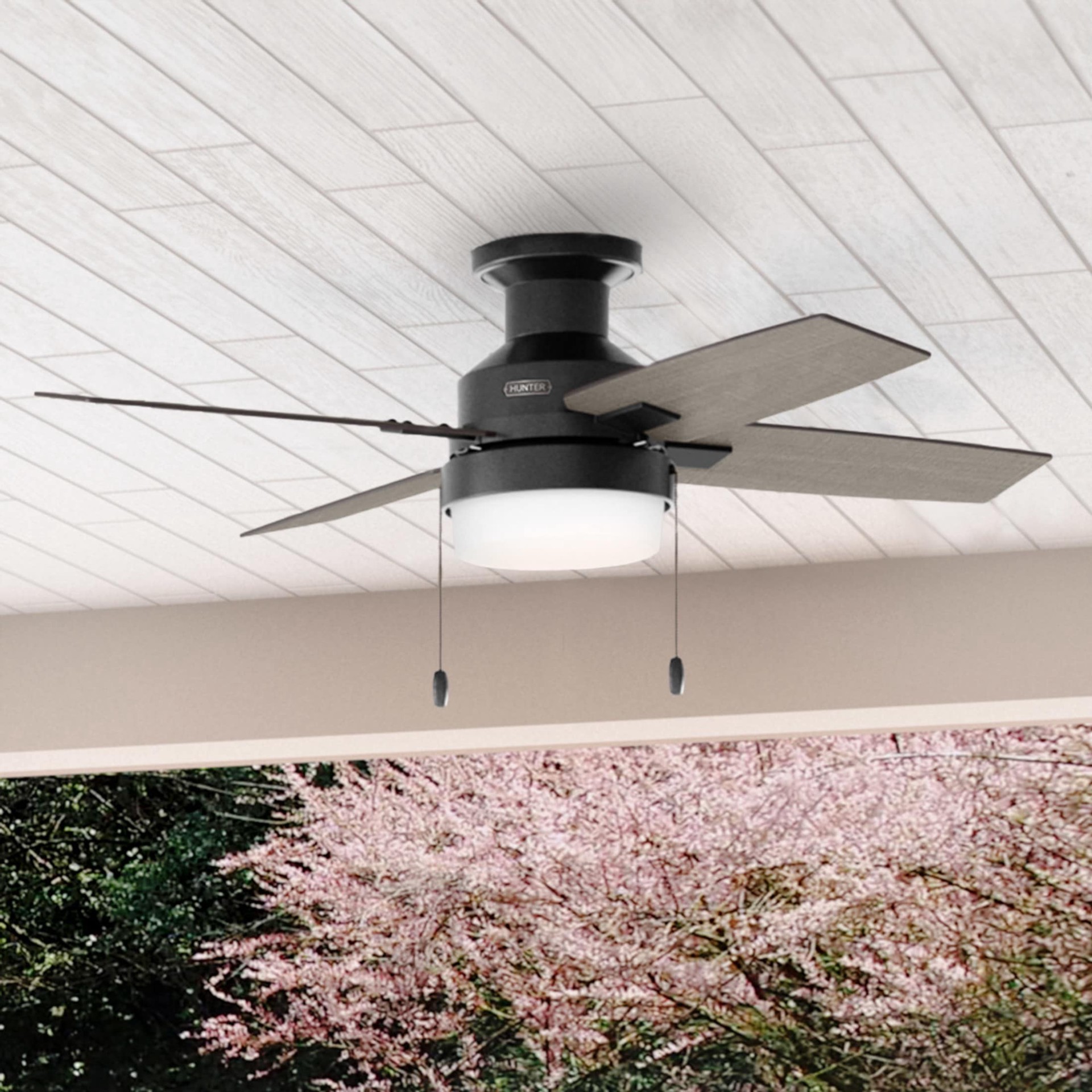 slide 1 of 6, Hunter Port Haven 44-in Matte Black with Black Willow/Greyed Walnut Blades Covered Outdoor Flush Mount Ceiling Fan With Light 4 -Blade, 1 ct