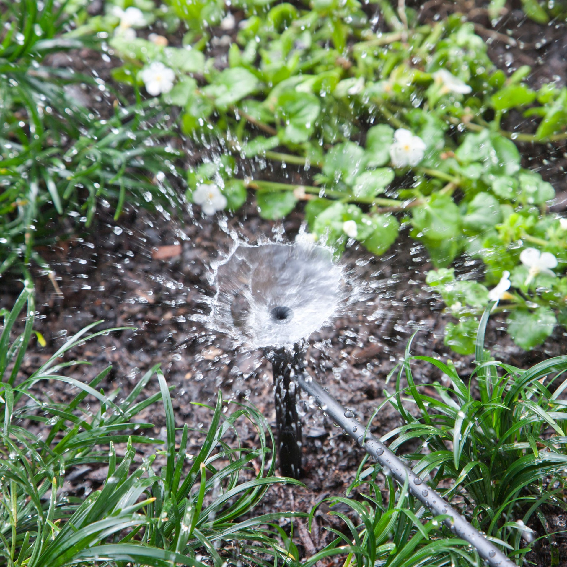 slide 2 of 6, Raindrip 21.8 GPH Full-Circle Drip Irrigation Micro Spray 10 -Pack, 1 ct