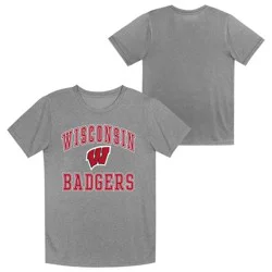 NCAA Wisconsin Badgers Boys' Gray Poly T-Shirt - XS