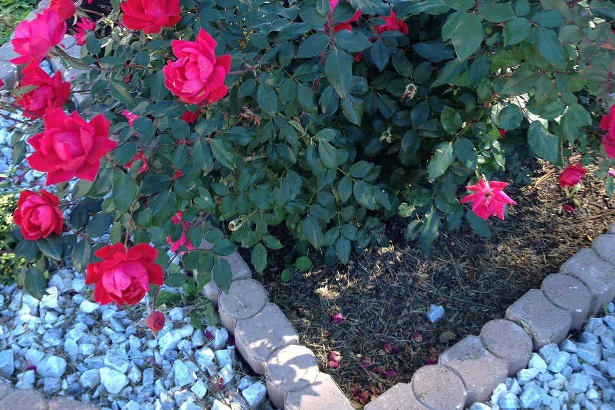 slide 4 of 6, Midwest Products Group Grand Prize 12-in L x 3-in W x 3-in H Red/Smooth texture Concrete Straight edging stone, 1 ct