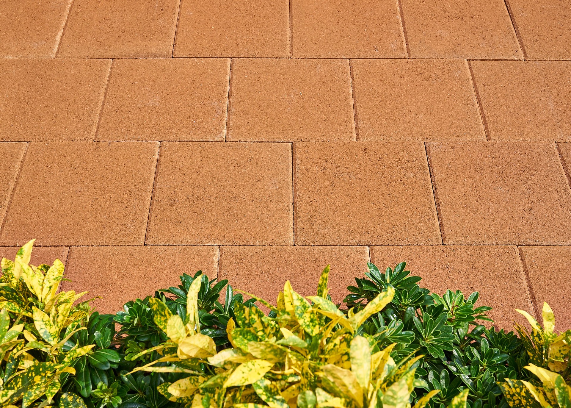 slide 5 of 6, Pavestone 12-in L x 12-in W x 2-in H Square Antique Terra Cotta/Smooth Concrete Patio stone, 1 ct