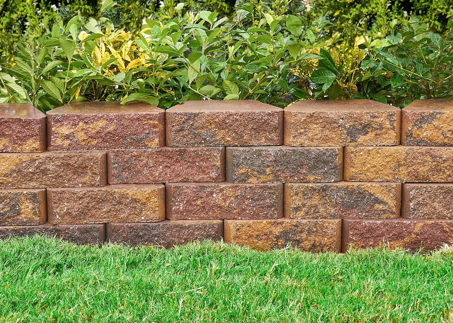 slide 3 of 3, Pavestone 3-in H x 10-in L x 6-in D Sierra/Hard Split Face Concrete Retaining wall block, 1 ct