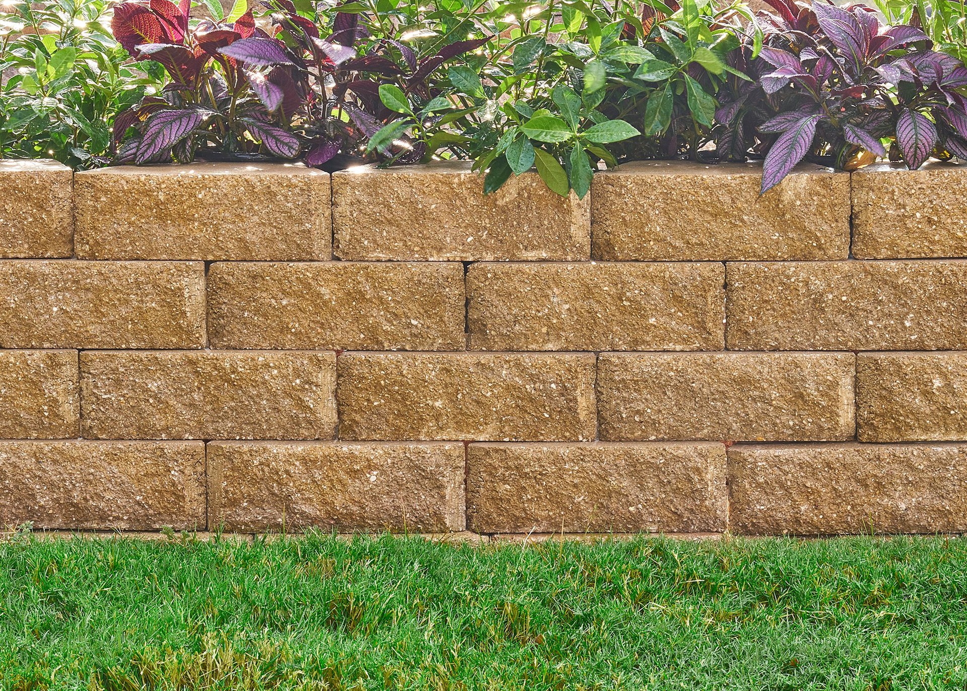slide 3 of 3, Pavestone 4-in H x 11.63-in L x 7-in D Timberwood Blend/Hard Split Face Concrete Retaining wall block, 1 ct