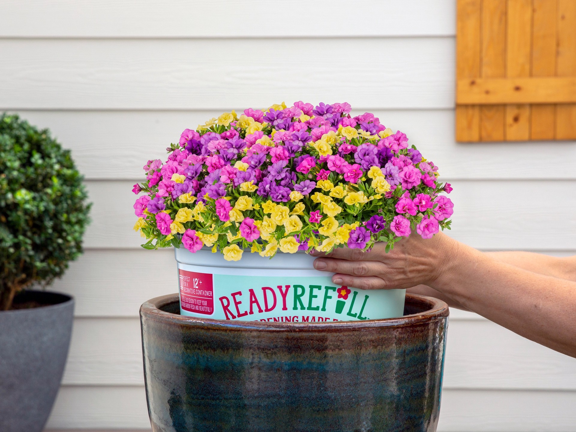 slide 3 of 6, Ready Refill Multicolor Calibrachoa Mix in 1.5-Gallons Pot, 1 ct