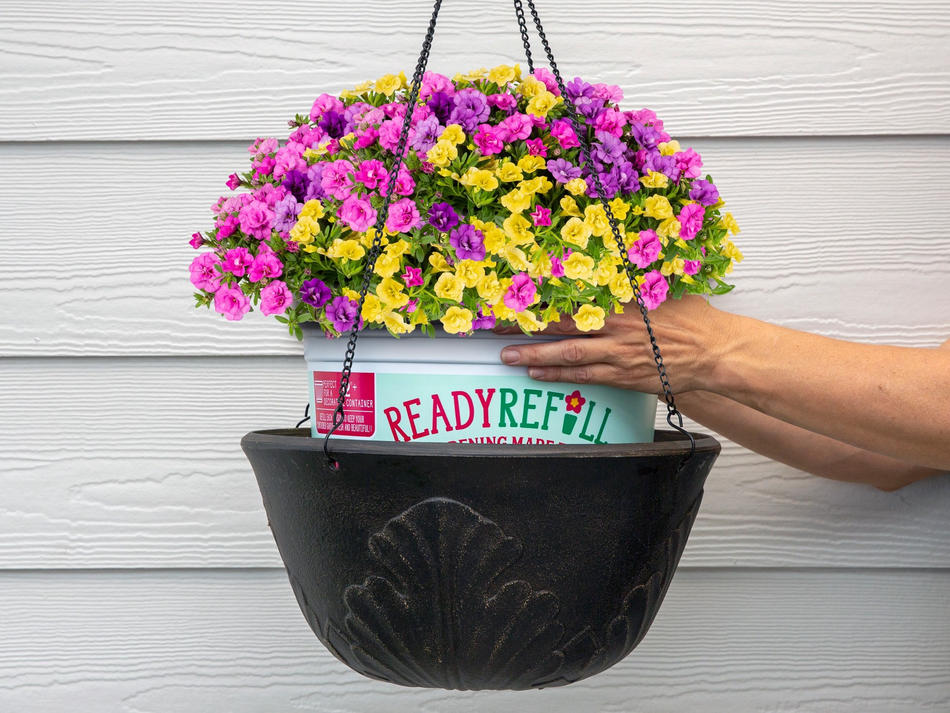 slide 4 of 6, Ready Refill Multicolor Calibrachoa Mix in 1.5-Gallons Pot, 1 ct