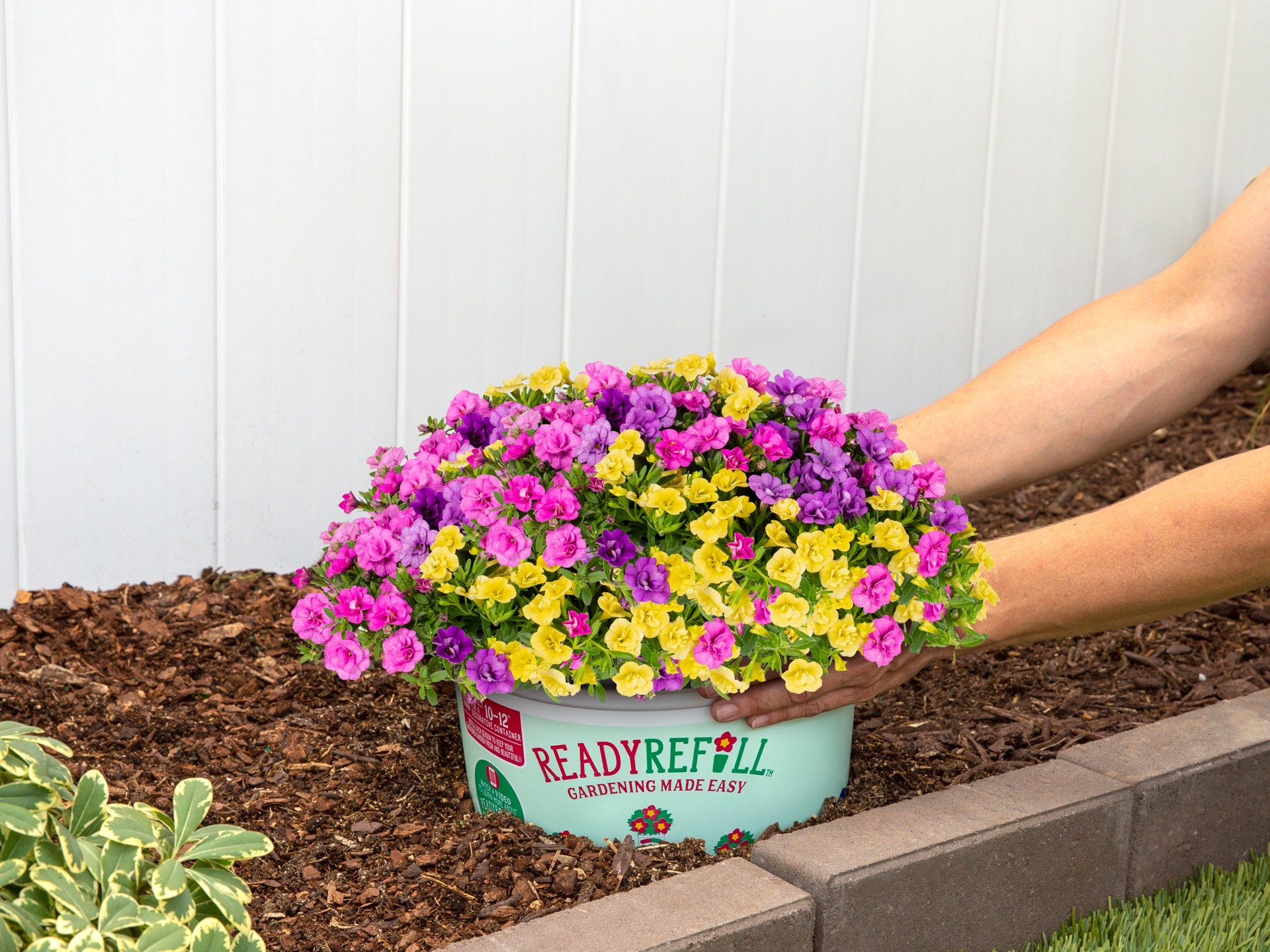 slide 5 of 6, Ready Refill Multicolor Calibrachoa Mix in 1.5-Gallons Pot, 1 ct