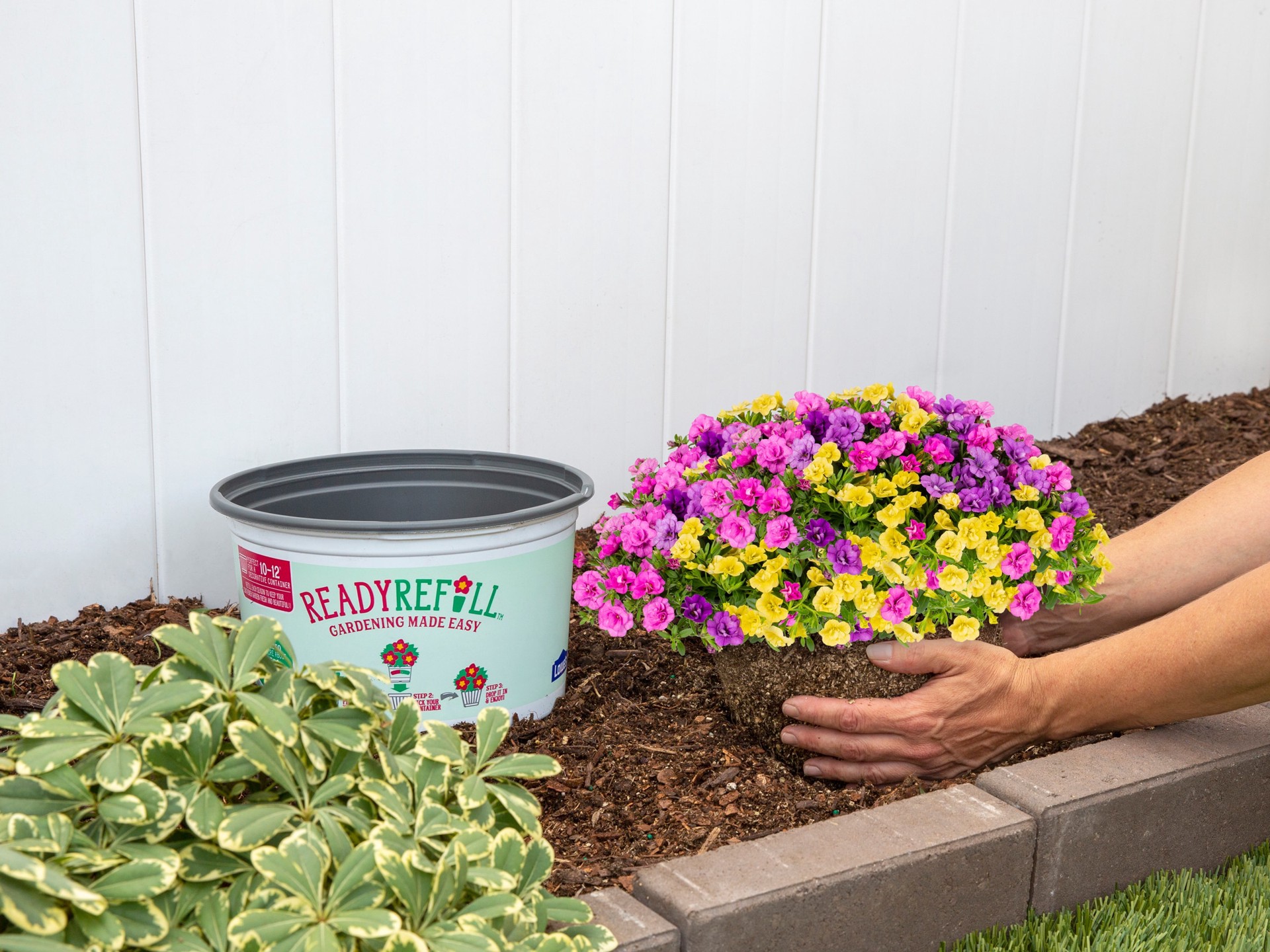 slide 6 of 6, Ready Refill Multicolor Calibrachoa Mix in 1.5-Gallons Pot, 1 ct