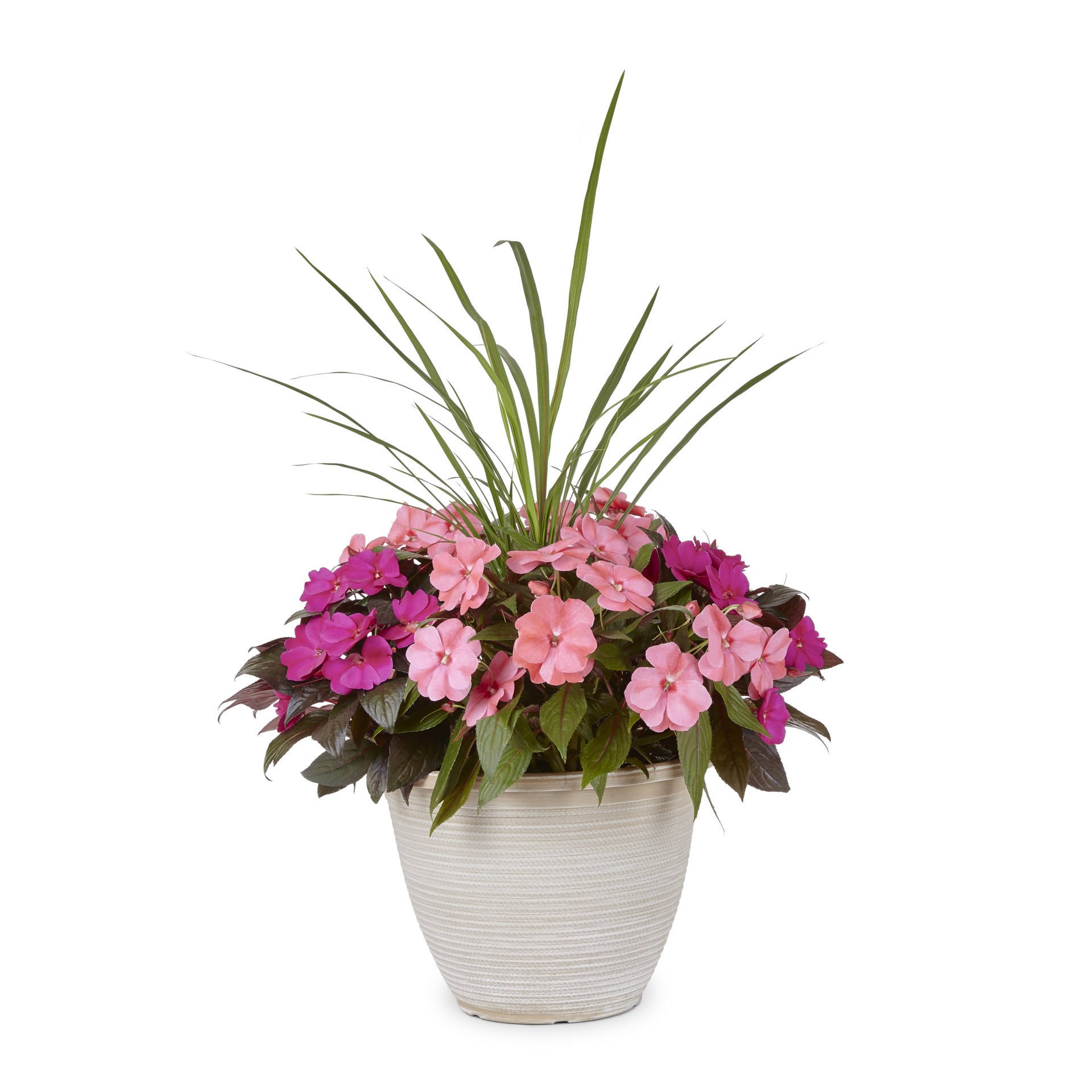 slide 1 of 1, Lowe's Multicolor Mixed Annuals in 2.5-Gallons Planter, 1 ct