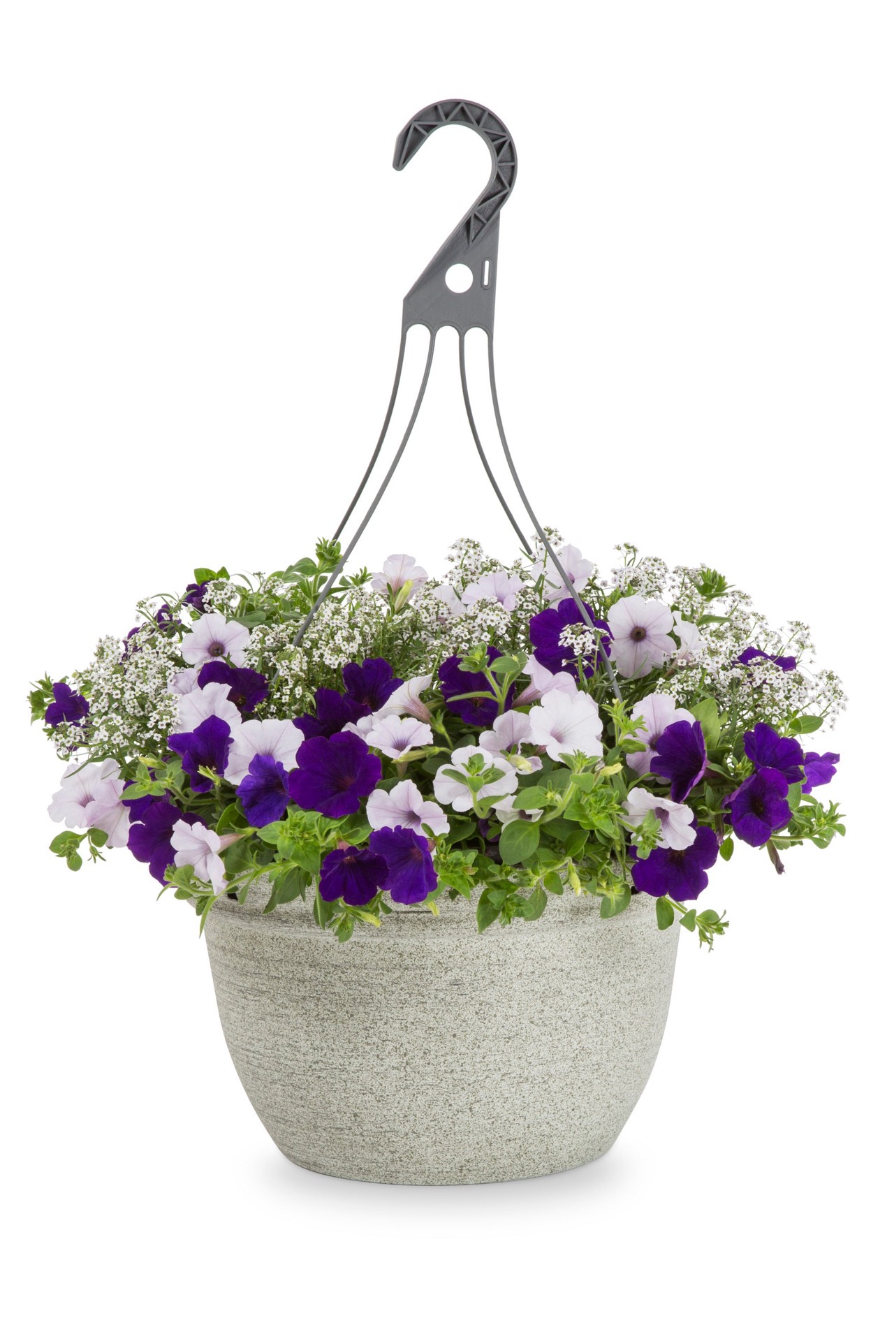 slide 1 of 1, Lowe's Multicolor Velvet Skies in 3.5 Gallon(s) Hanging basket, 1 ct