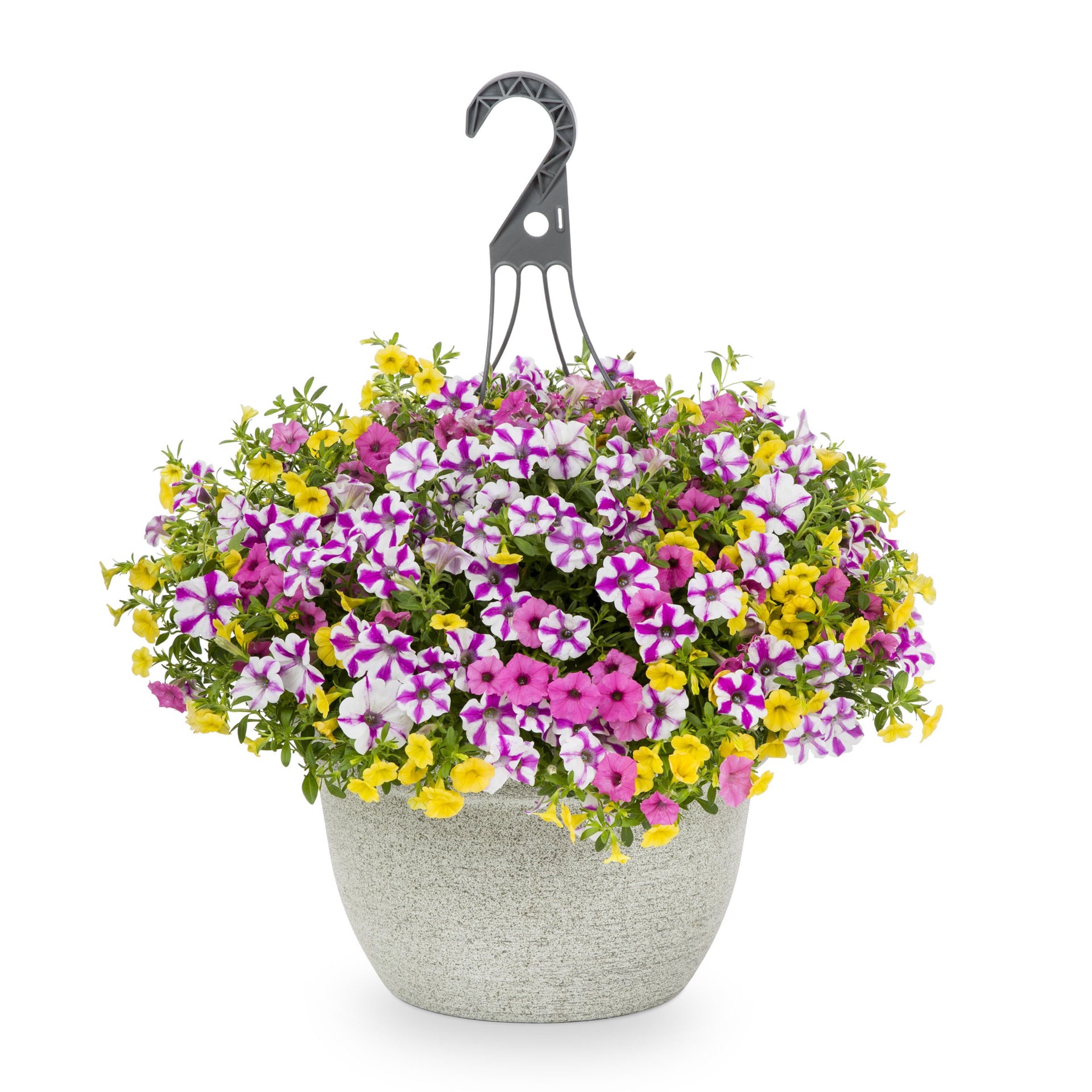 slide 1 of 1, Lowe's Multicolor Sunglasses in 3.5 Gallon(s) Hanging basket, 1 ct