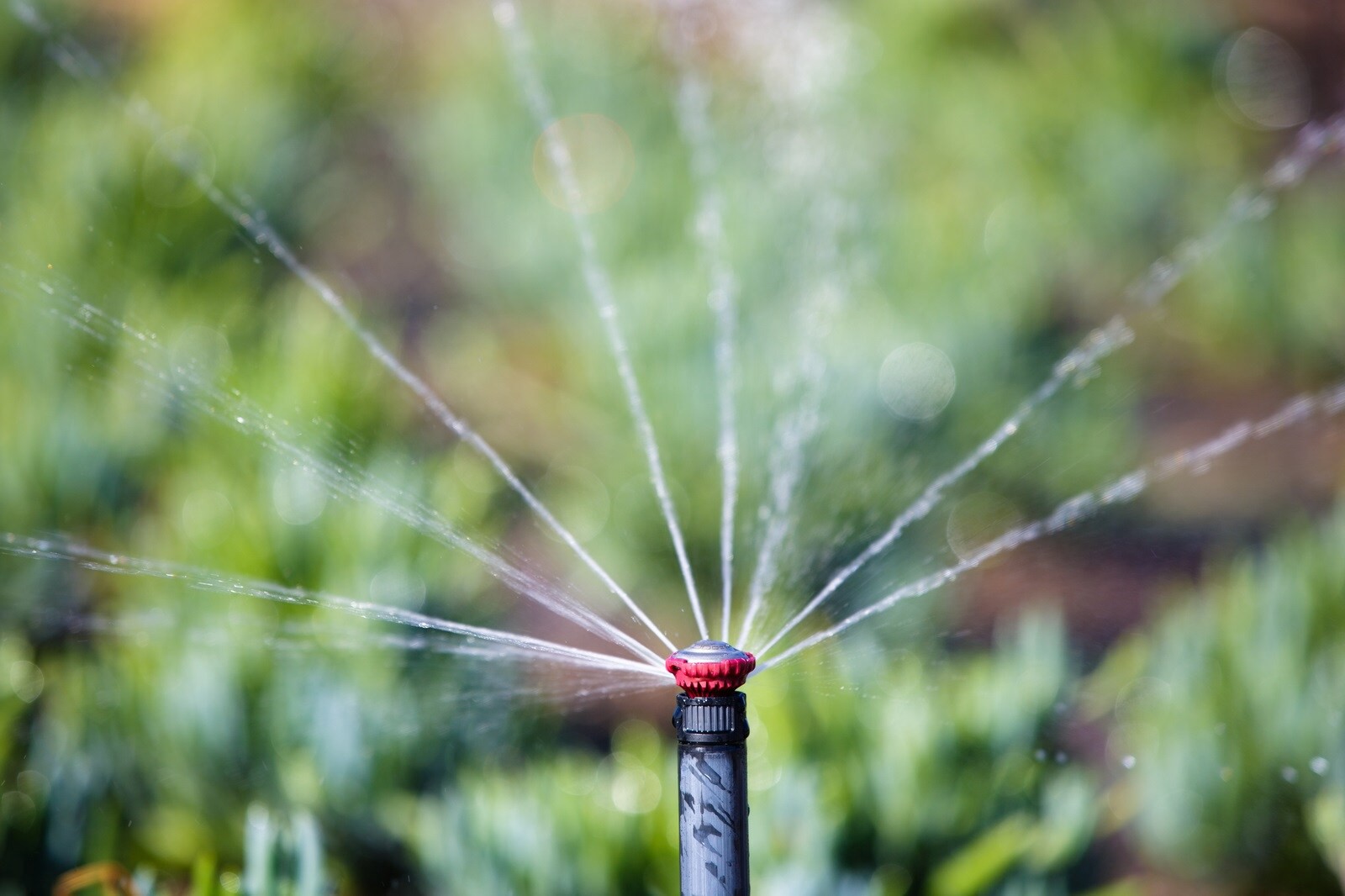 slide 3 of 6, Rain Bird 24-ft Full-circle Spray head nozzle, 1 ct