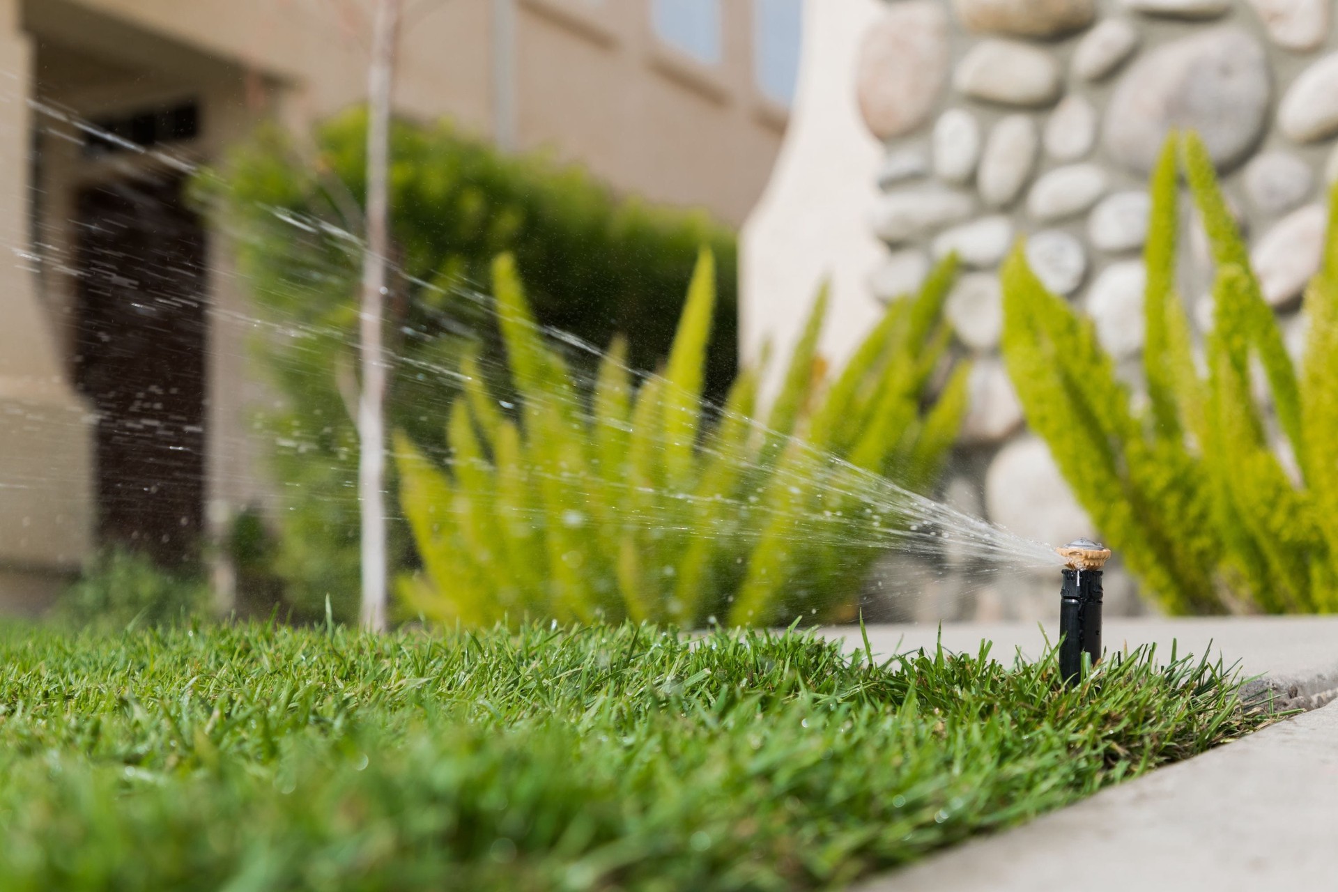 slide 6 of 6, Rain Bird 18-ft Full-circle Spray head nozzle, 1 ct