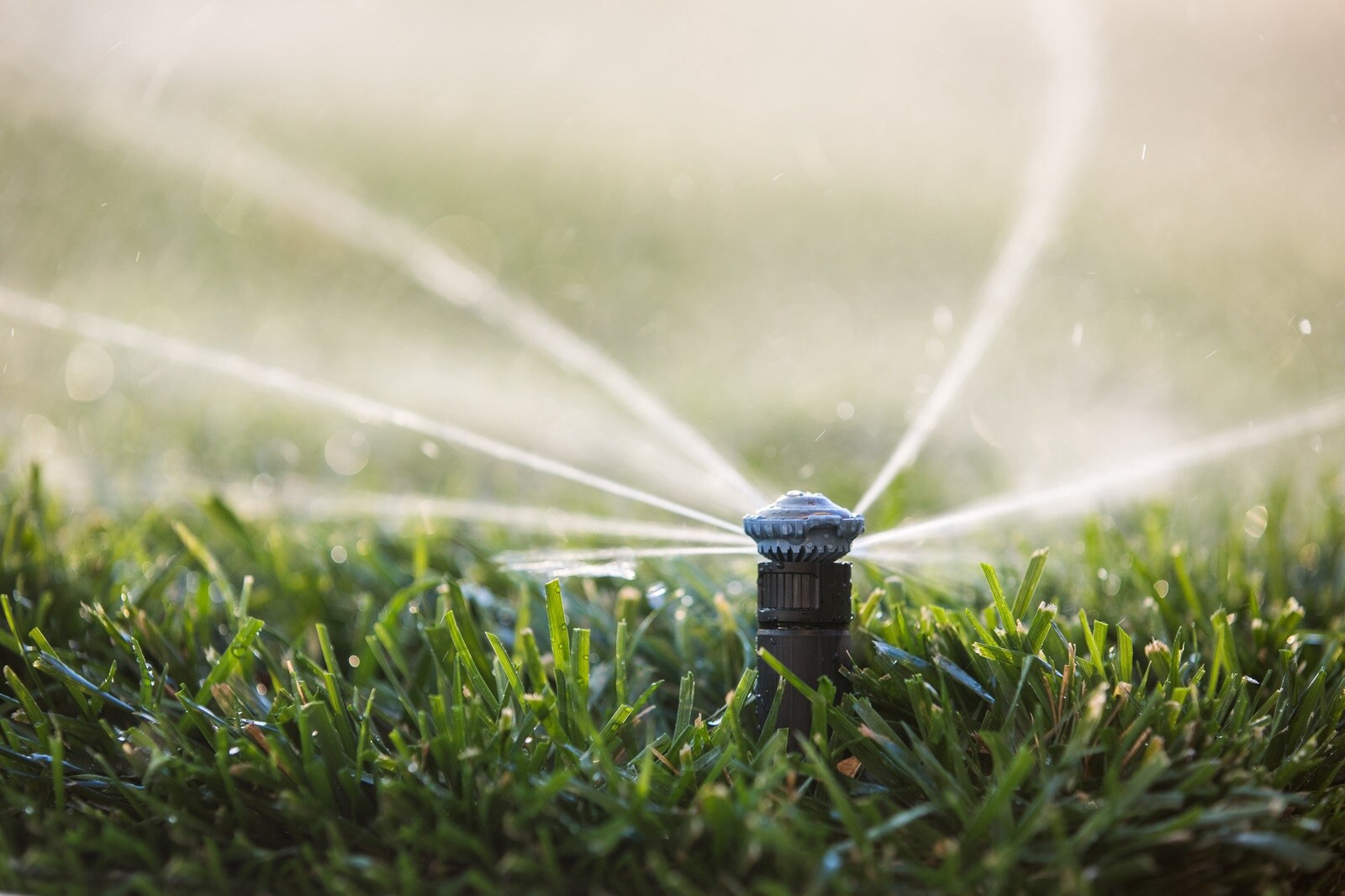 slide 3 of 6, Rain Bird 14-ft Full-circle Spray head nozzle, 1 ct